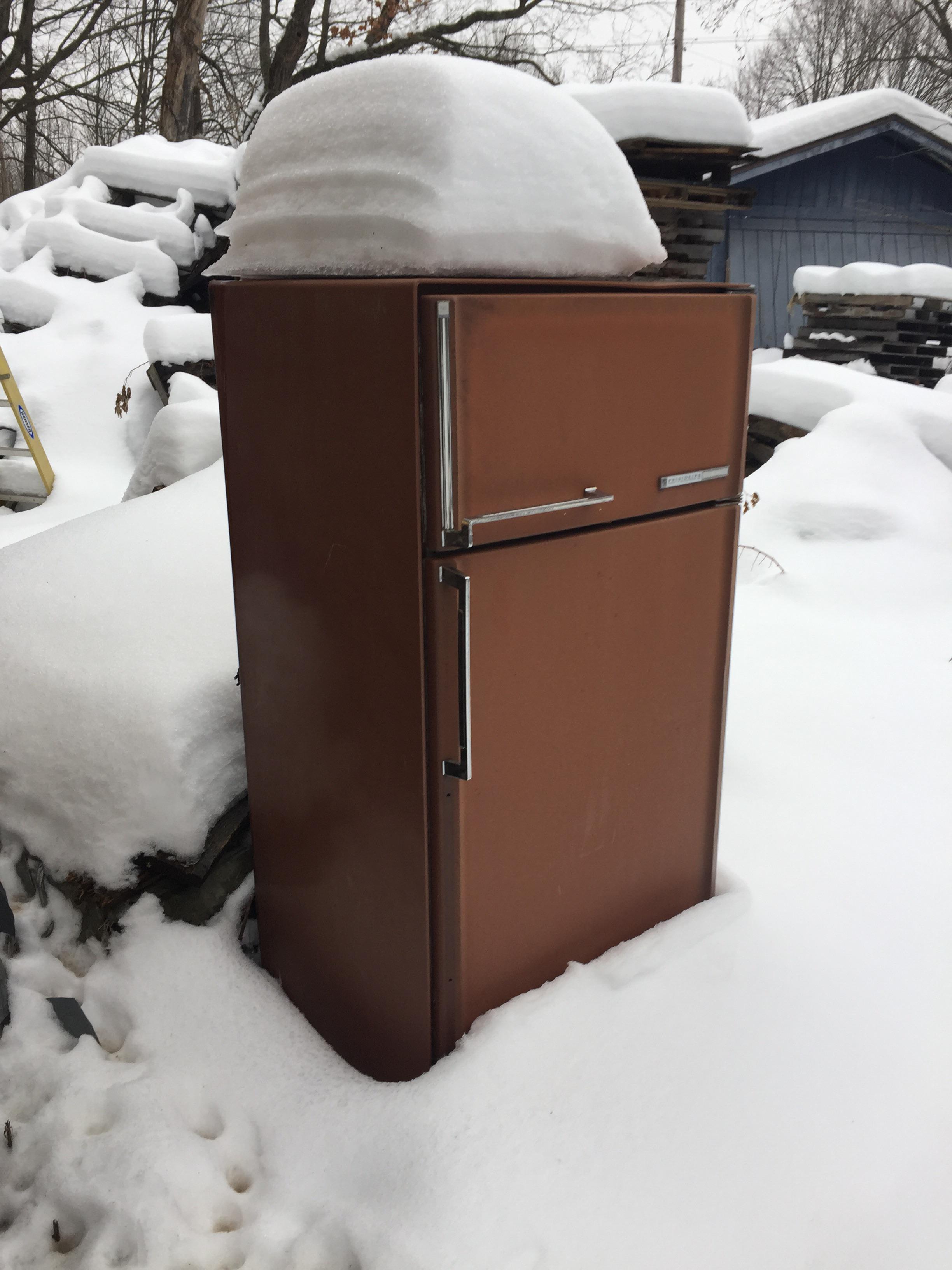 Brown fridge the official fridge of... r/regularcarreviews