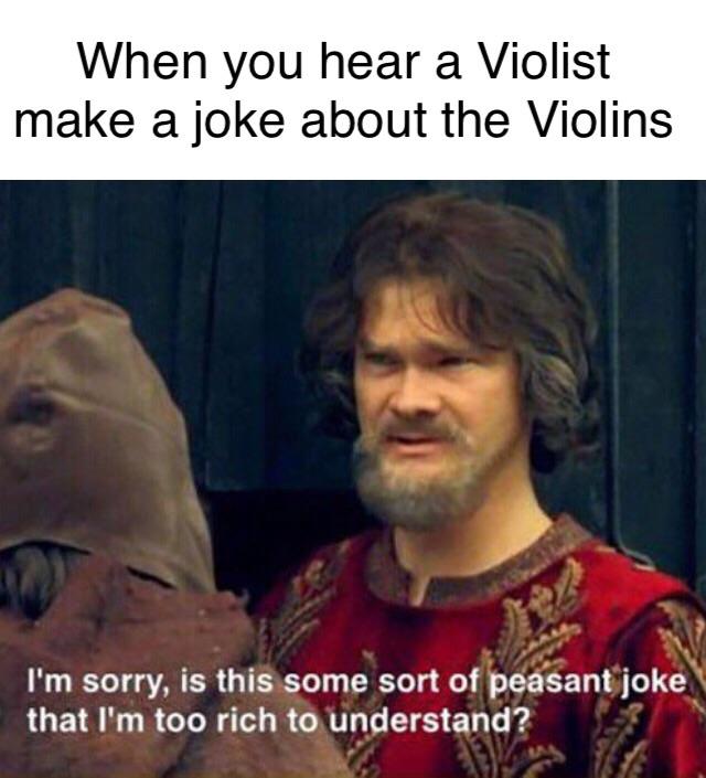 When a Violist makes a Violin Joke r/lingling40hrs
