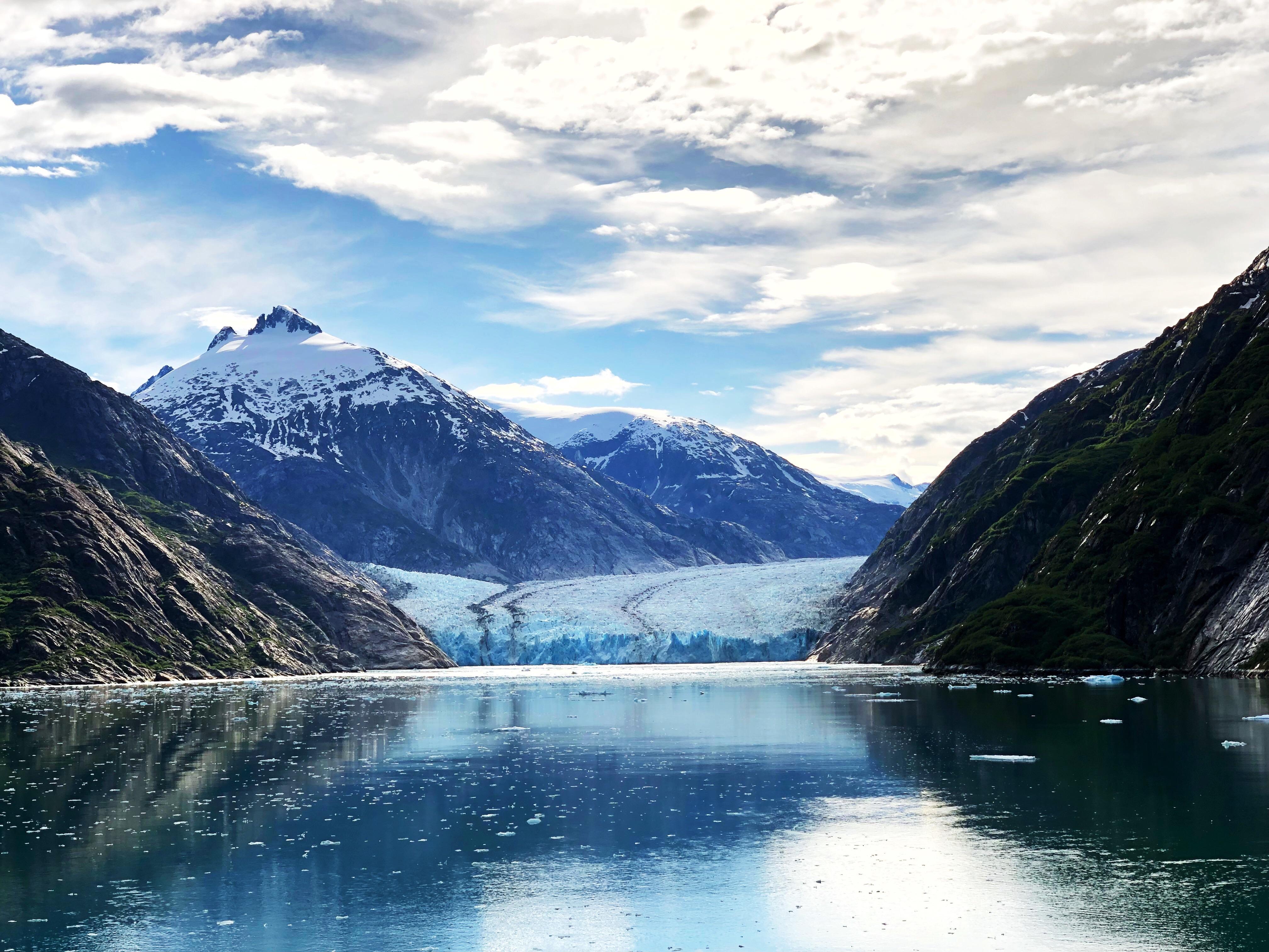 Endicott Arm Fjord, Alaska r/natureporn