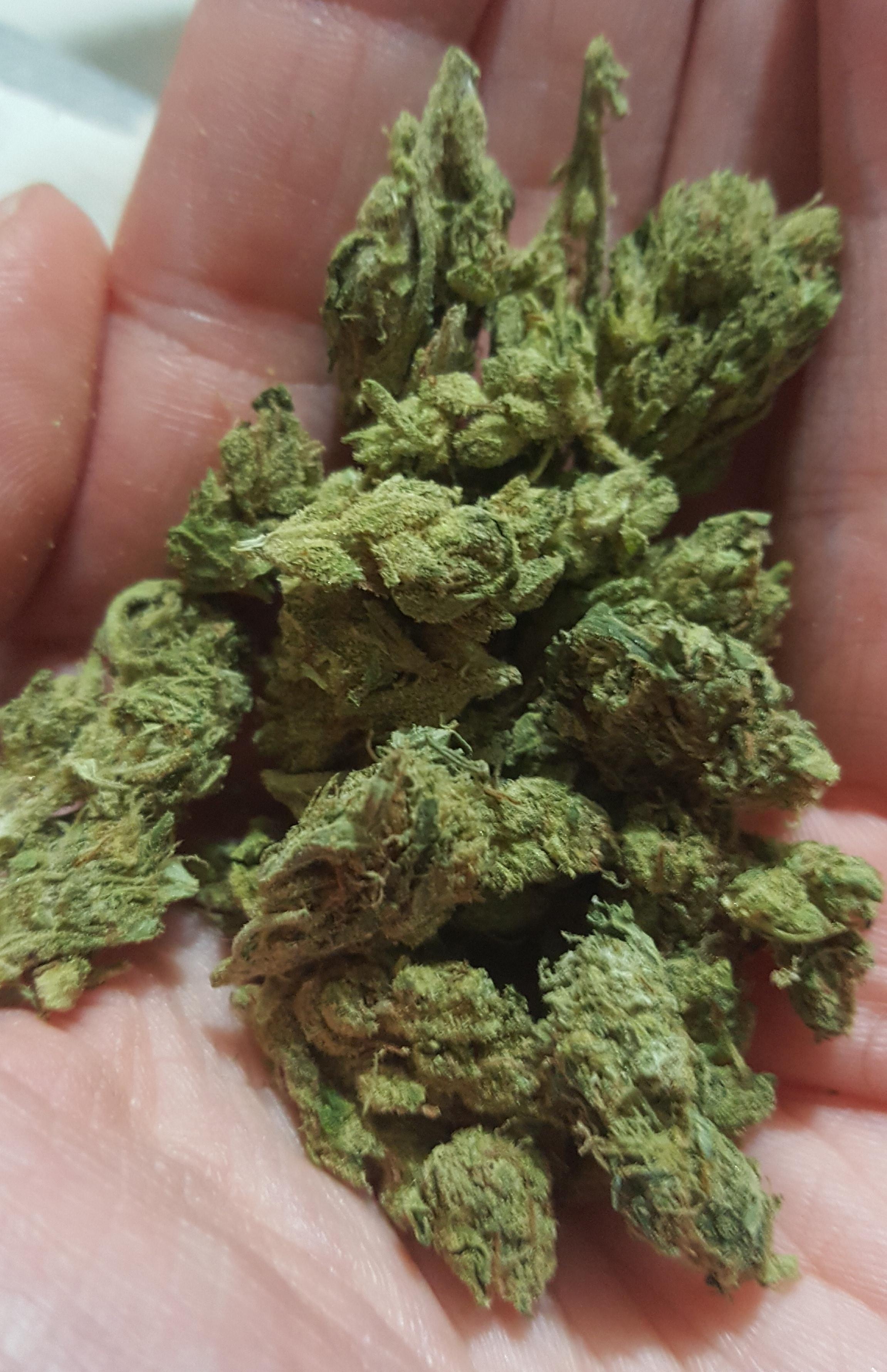 Sour Diesel One of my Favs! r/trees