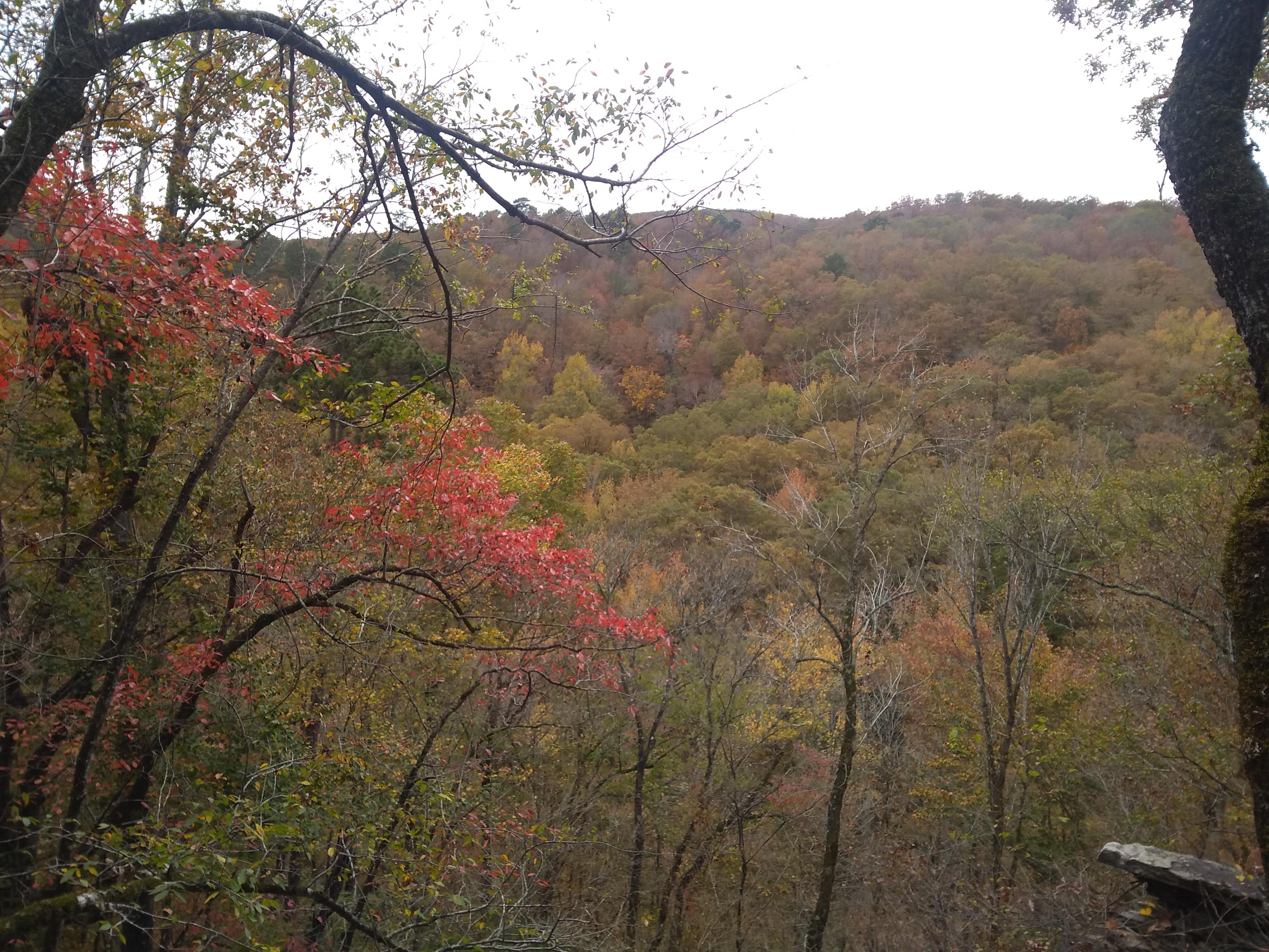 5 mile hike on the Ozark Highland Trail. Ozark National Forest