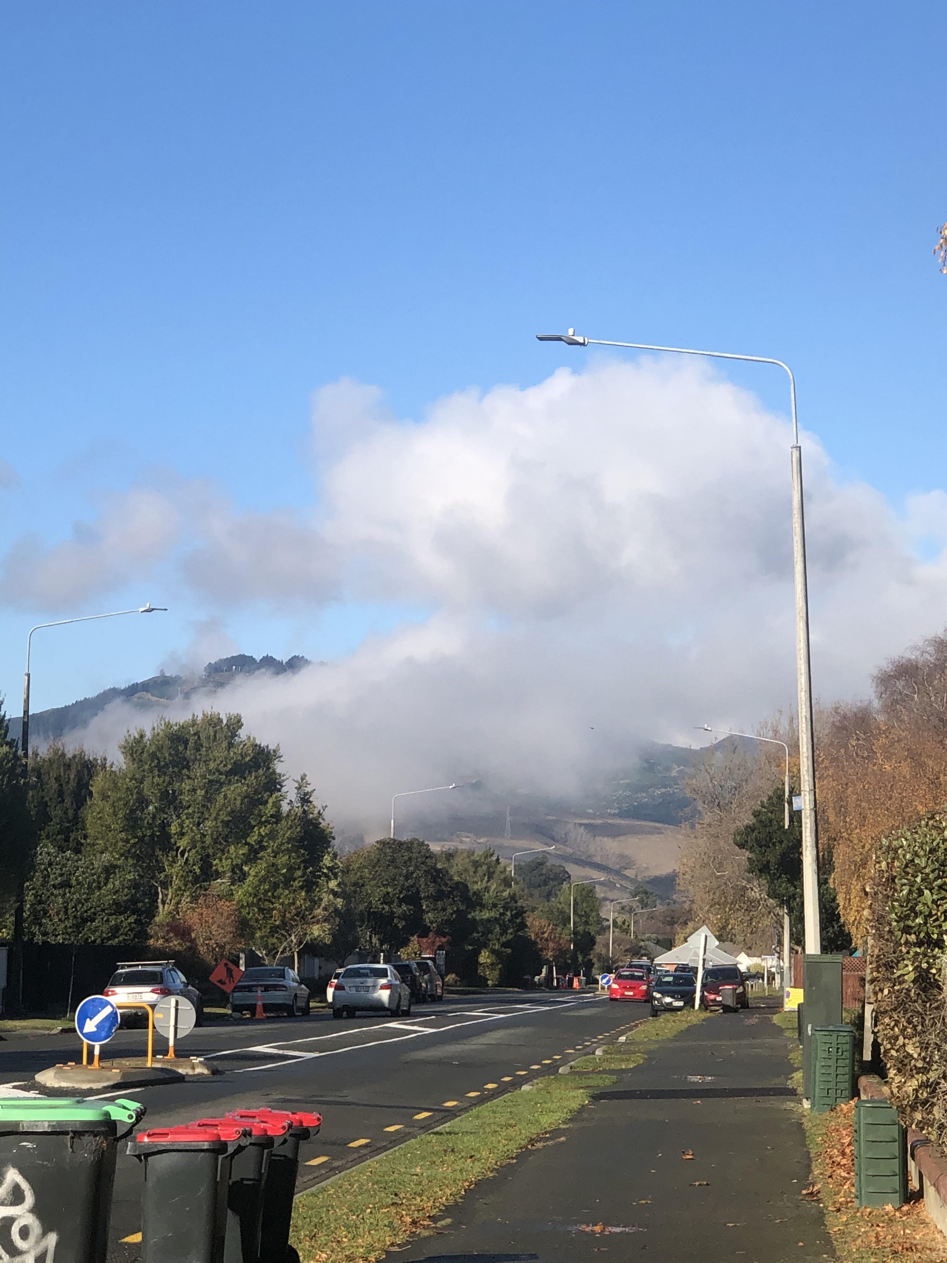 Average Christchurch morning on rubbish collection day r/AveragePicsOfNZ