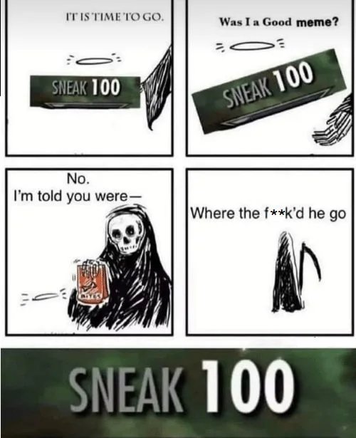 Must have been the wind SkyrimMemes