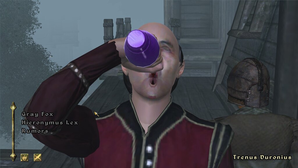 The drinking animation for the Skooma addicts in Bravil never ceases to