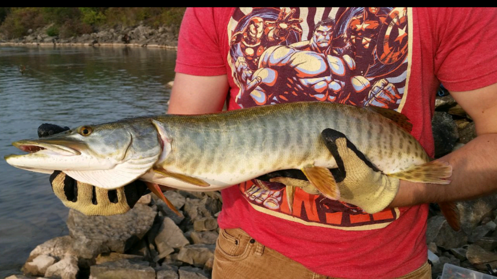PB Muskie Lake Gibson! r/Fishing