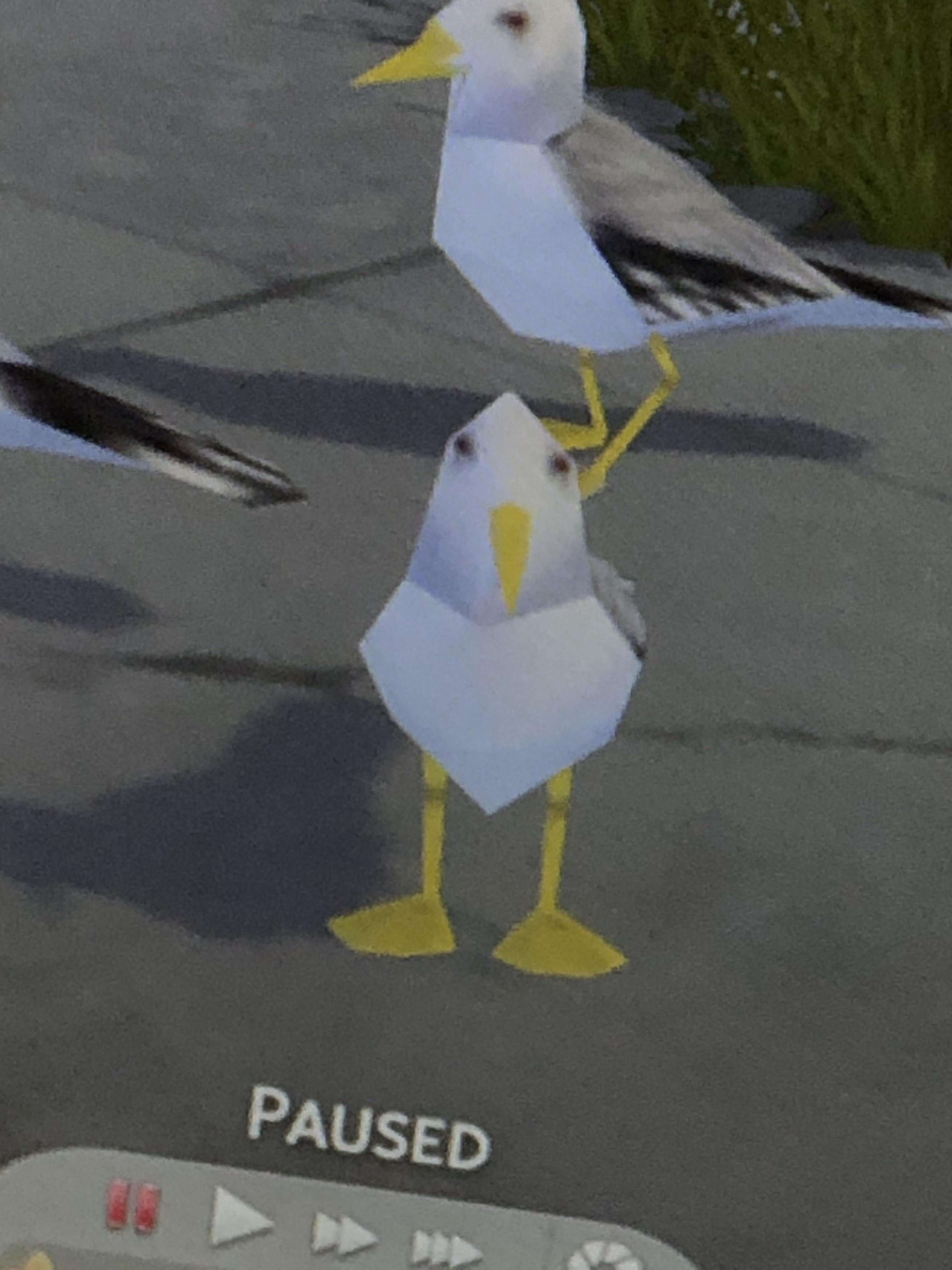 Can we just take a minute to appreciate the bird in this game? Brings