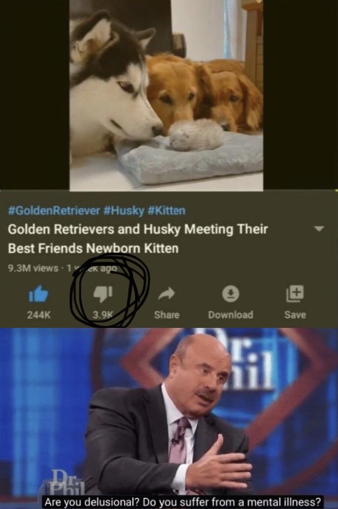 Why just why memes