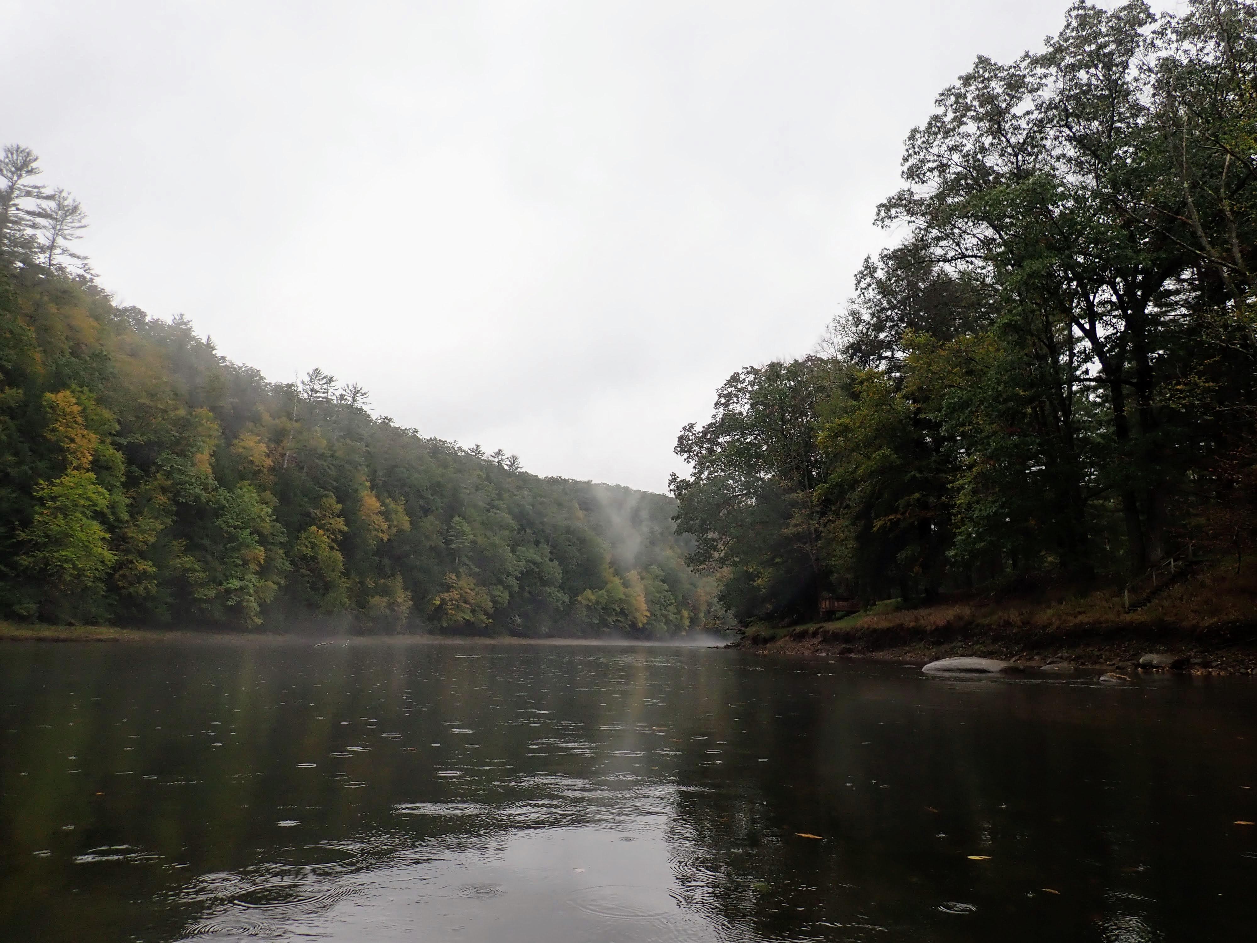 Kayaked down the Clarion River in Cook Forest State Park on a rainy