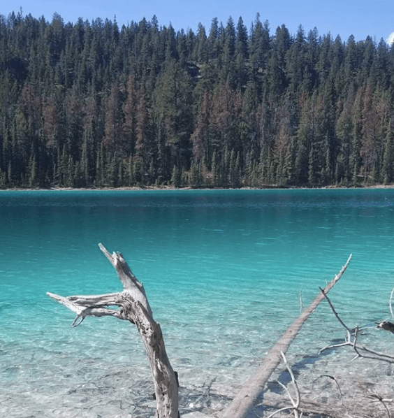 First Lake, Jasper r/CampingandHiking