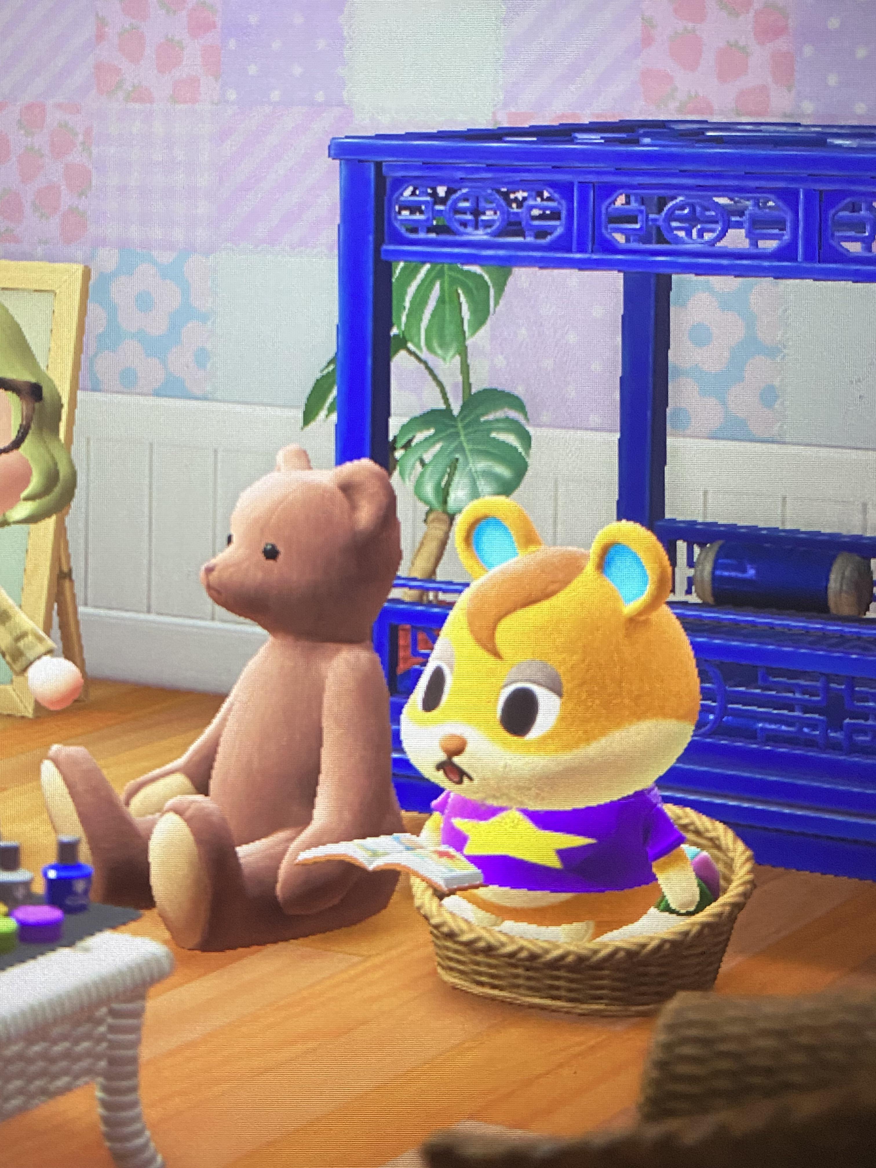 I love it when Hamlet comes over and sits in his pet bed. r/acnh