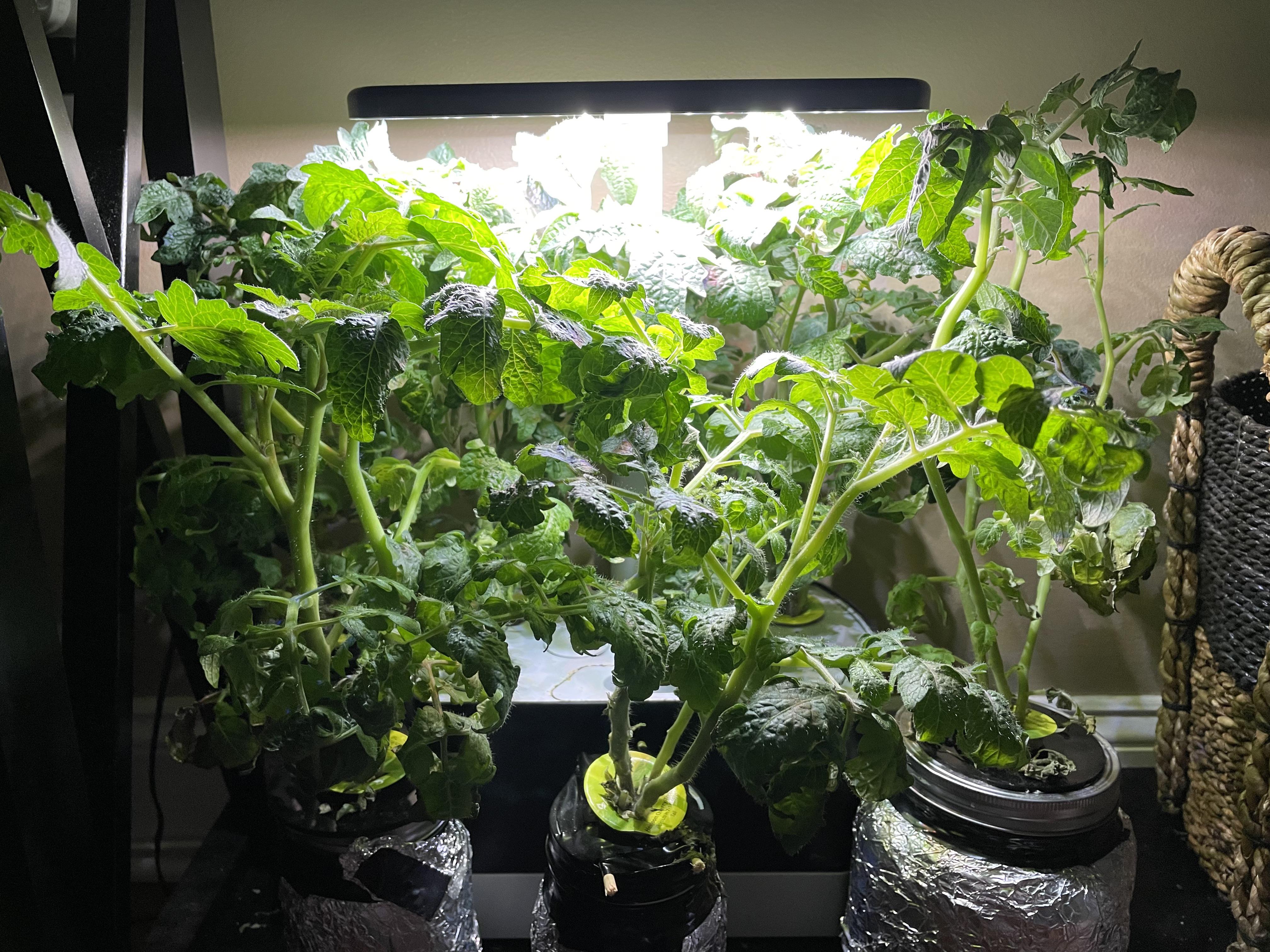 Going out of town for like 6 days. What’s your experience leaving the