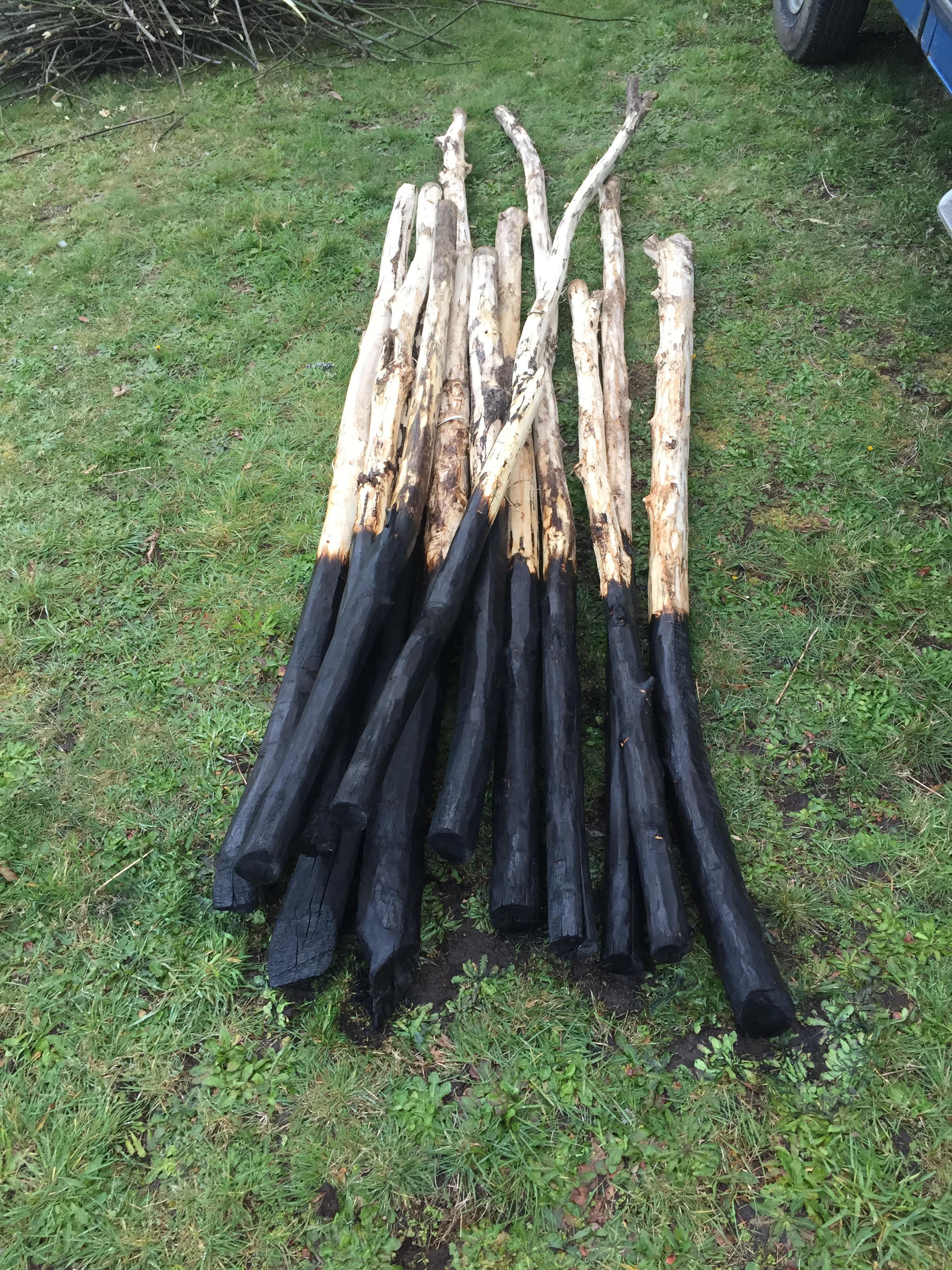 Scorched a bunch of black locust poles for fence posts. r/homestead