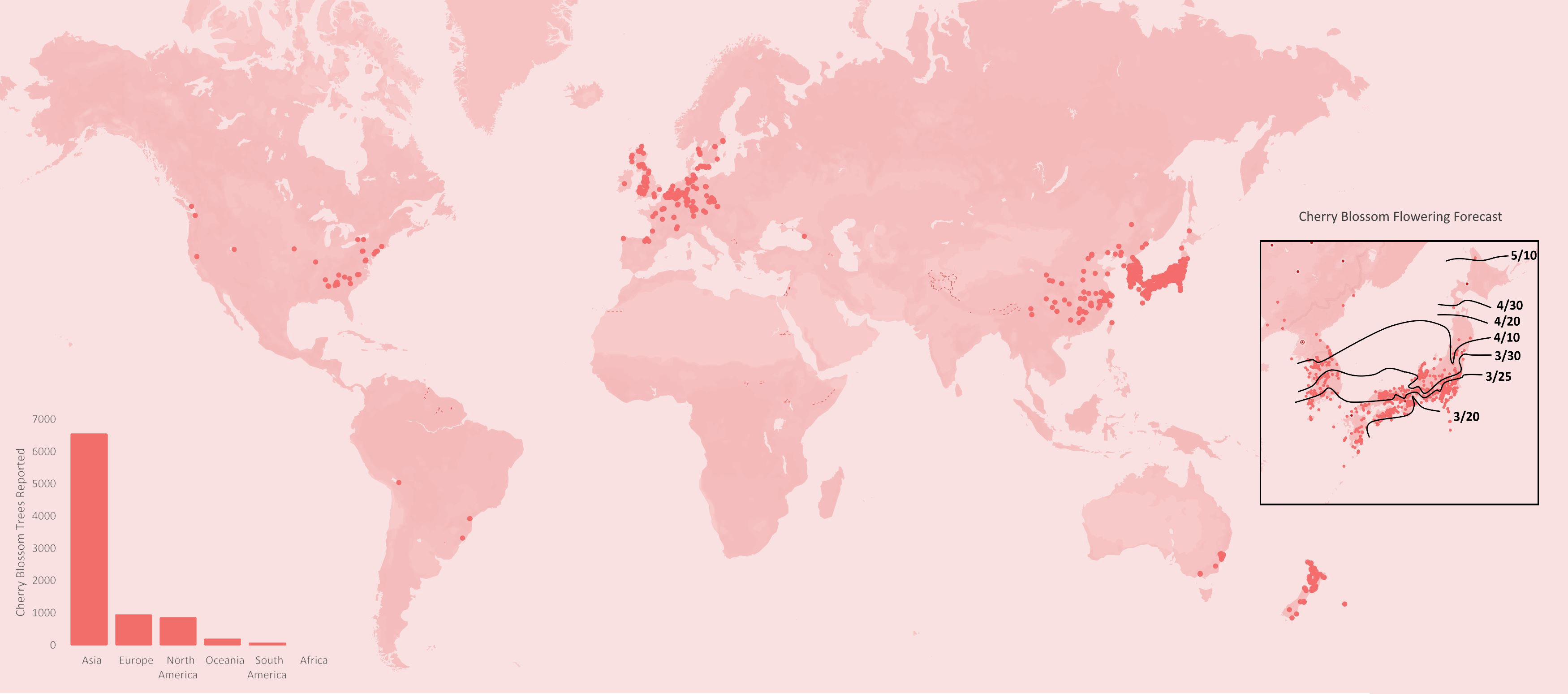 Japanese Cherry Blossoms Throughout the World [OC]