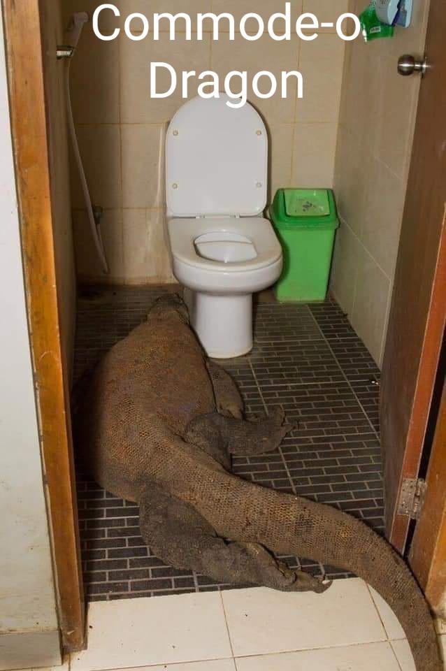 45 Hilarious Toilet Puns Punstoppable 🛑