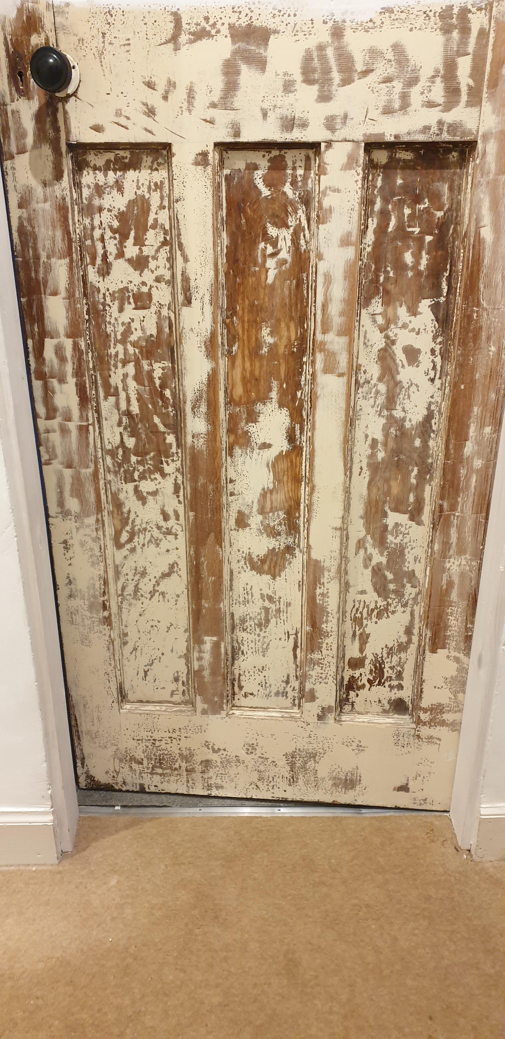 How can I paint this door white? r/DIYUK