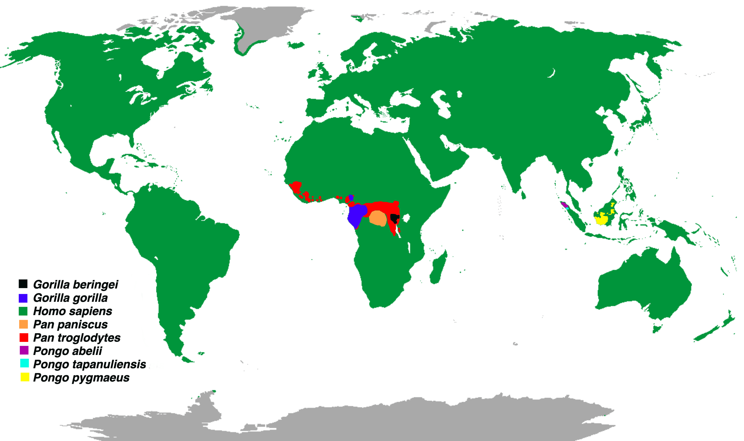 Distribution of the great apes (family Hominidae) MapPorn