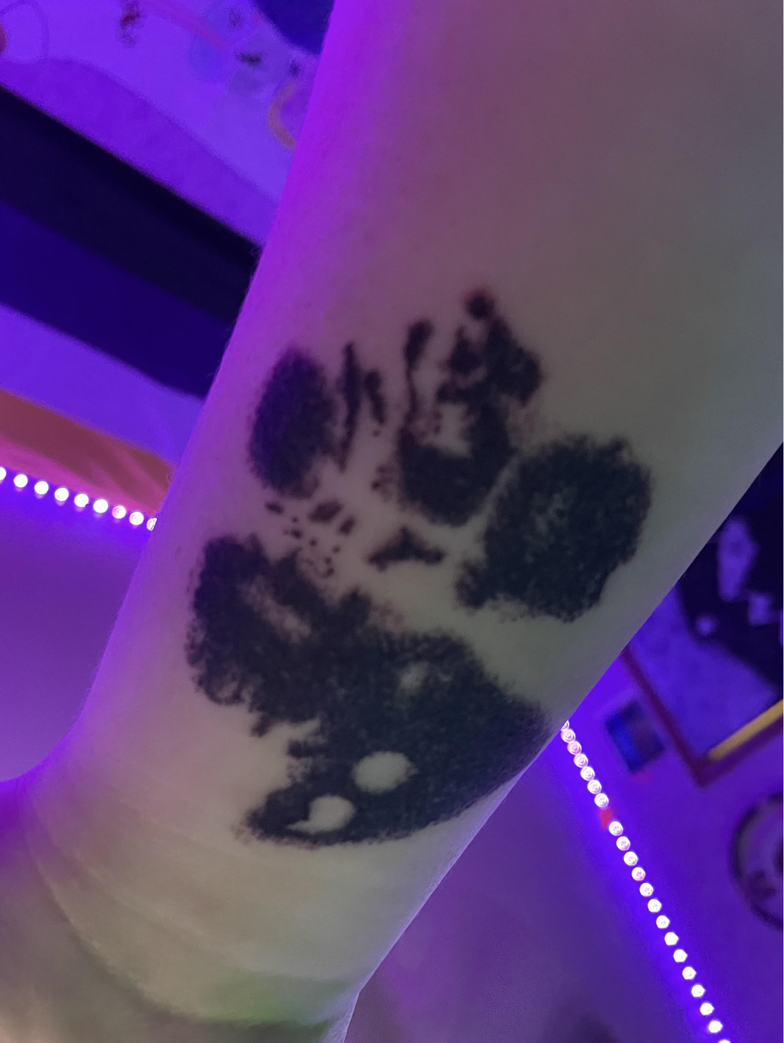 74 best Fallen Angel Tattoo images on Pholder Tattoos, Tattoo and Doctorwho