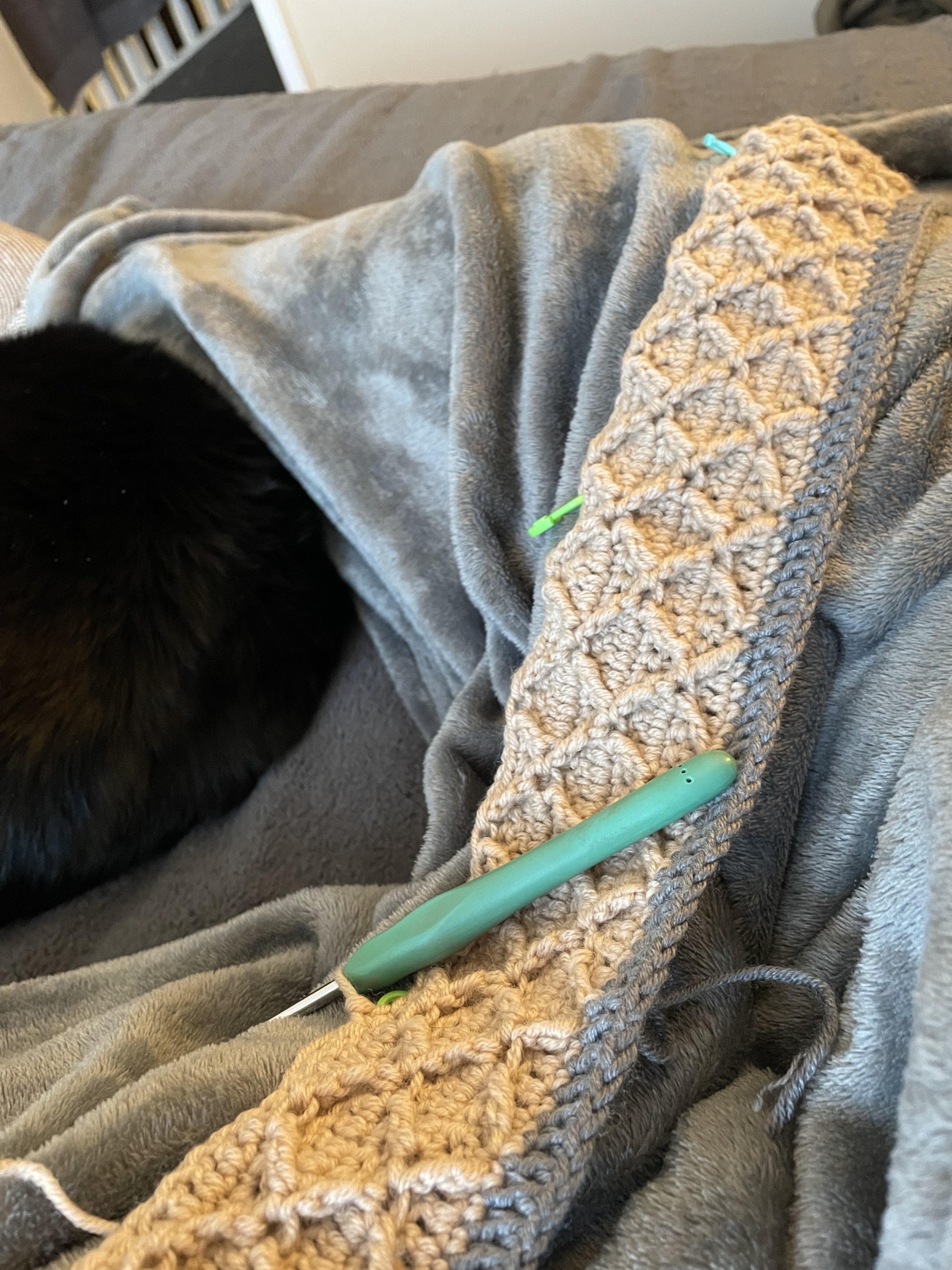 10 rows in to my long term blanket project and loving how this first