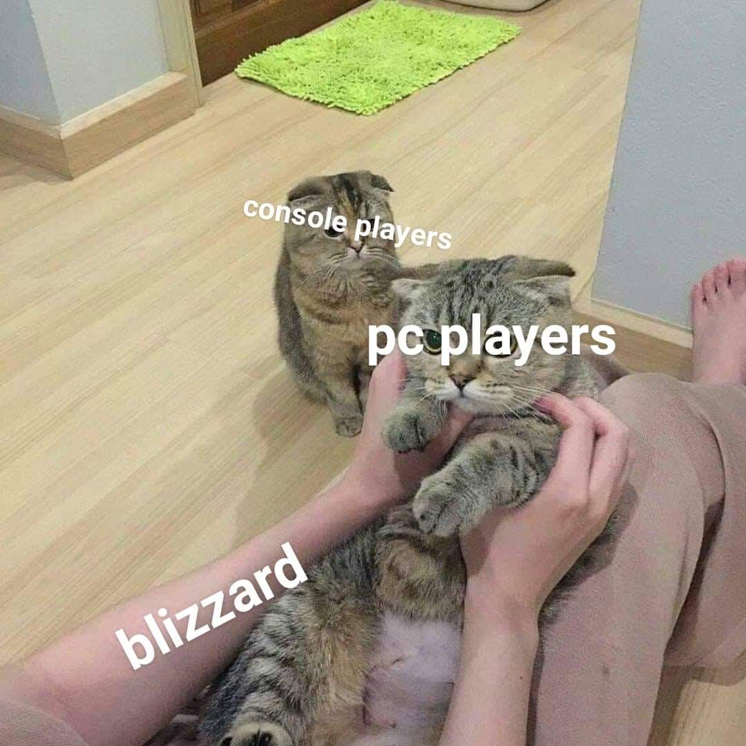 Nyaaaa Overwatch_Memes
