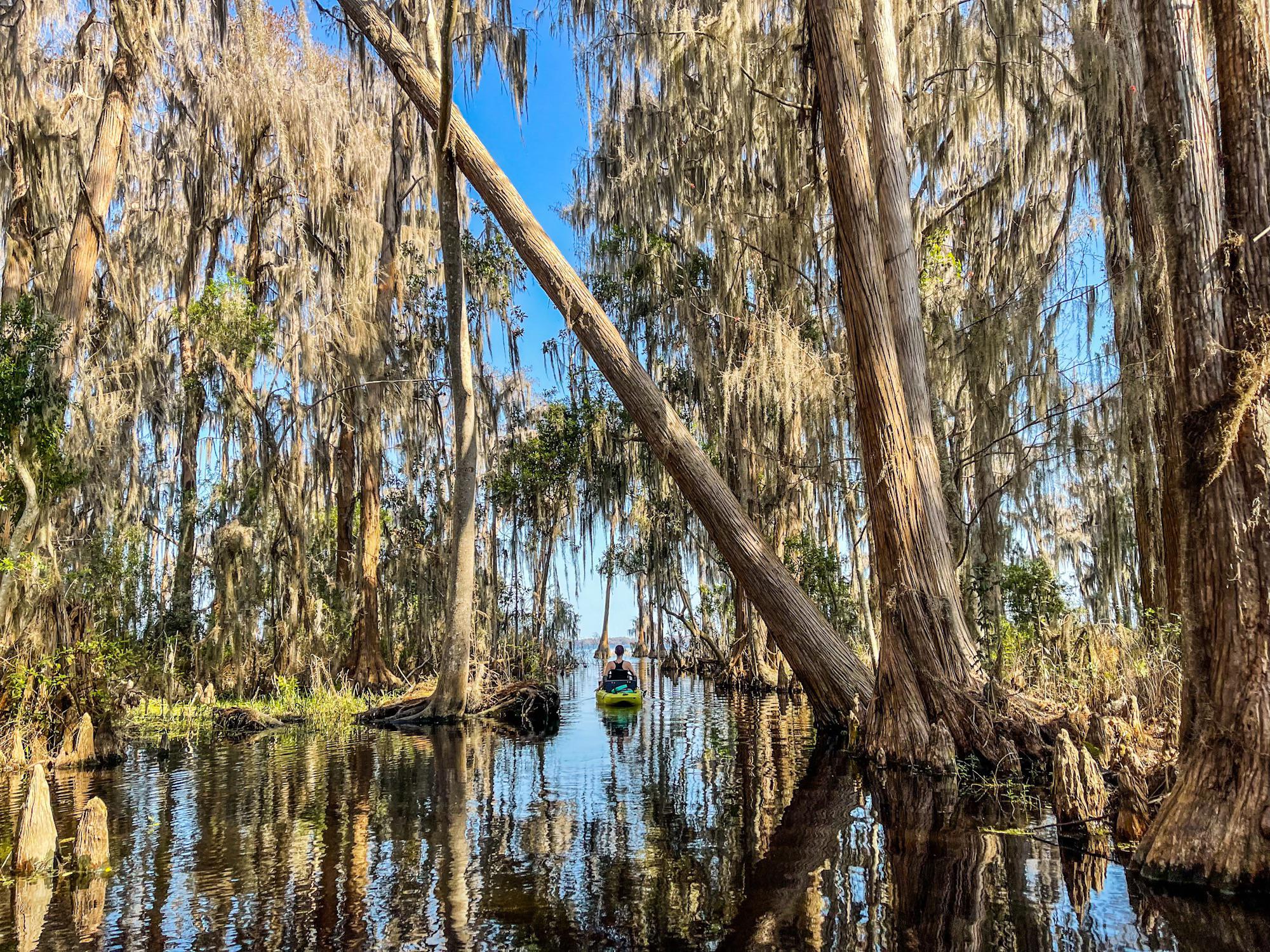 Lake Santa Fe. Melrose Florida. r/Kayaking