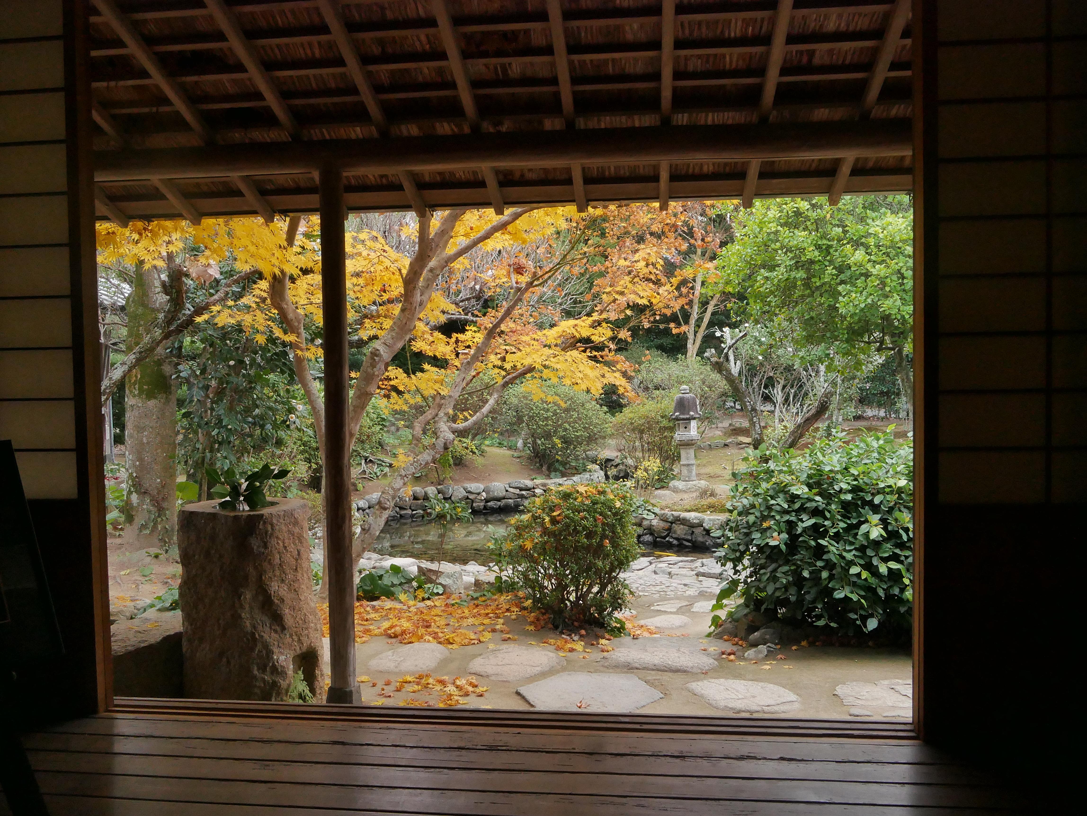 I recently returned from a month in Japan. Beautiful autumn leaves