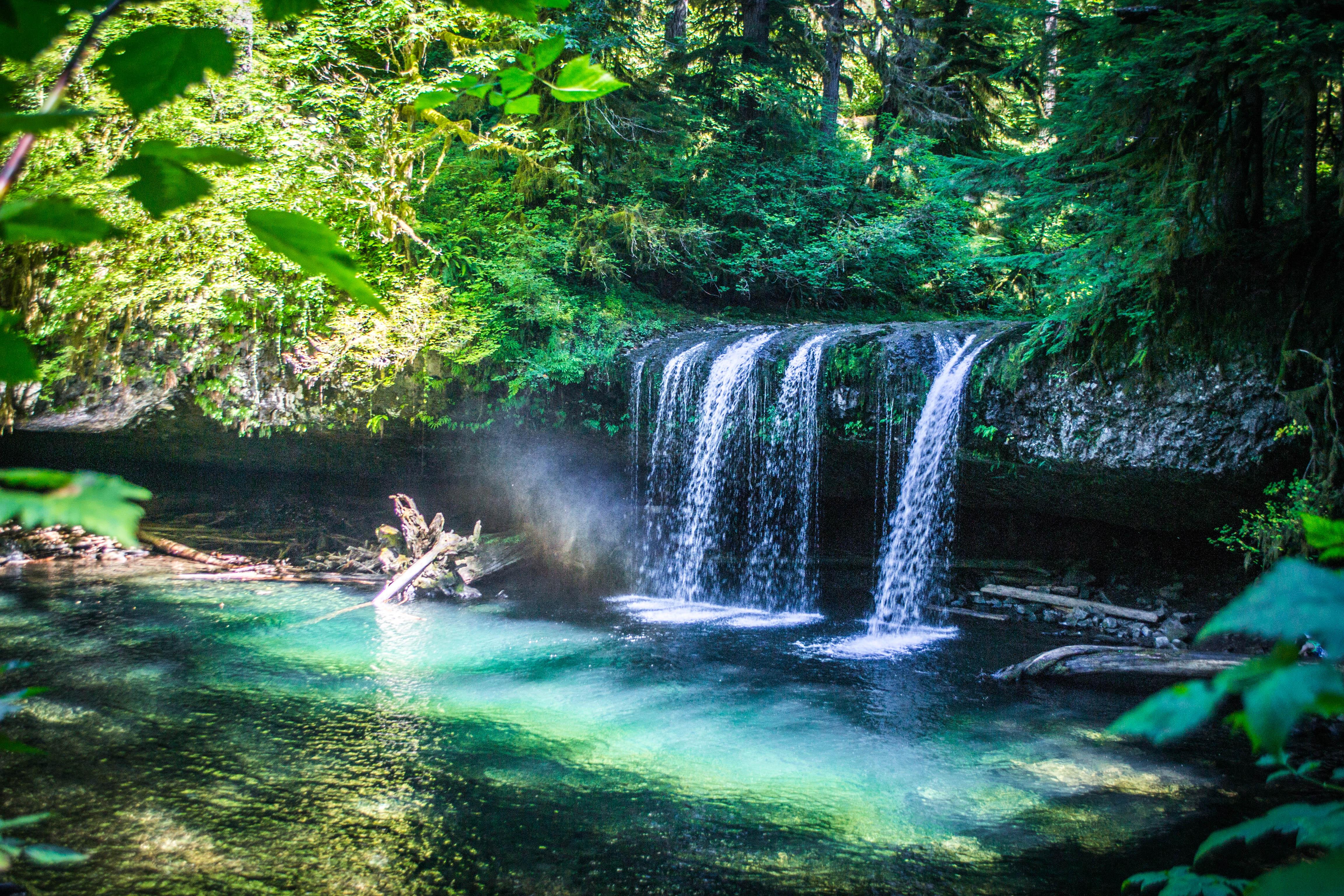 Upper Butte Creek Falls, Oregon [OC] [4608x3072] r/EarthPorn