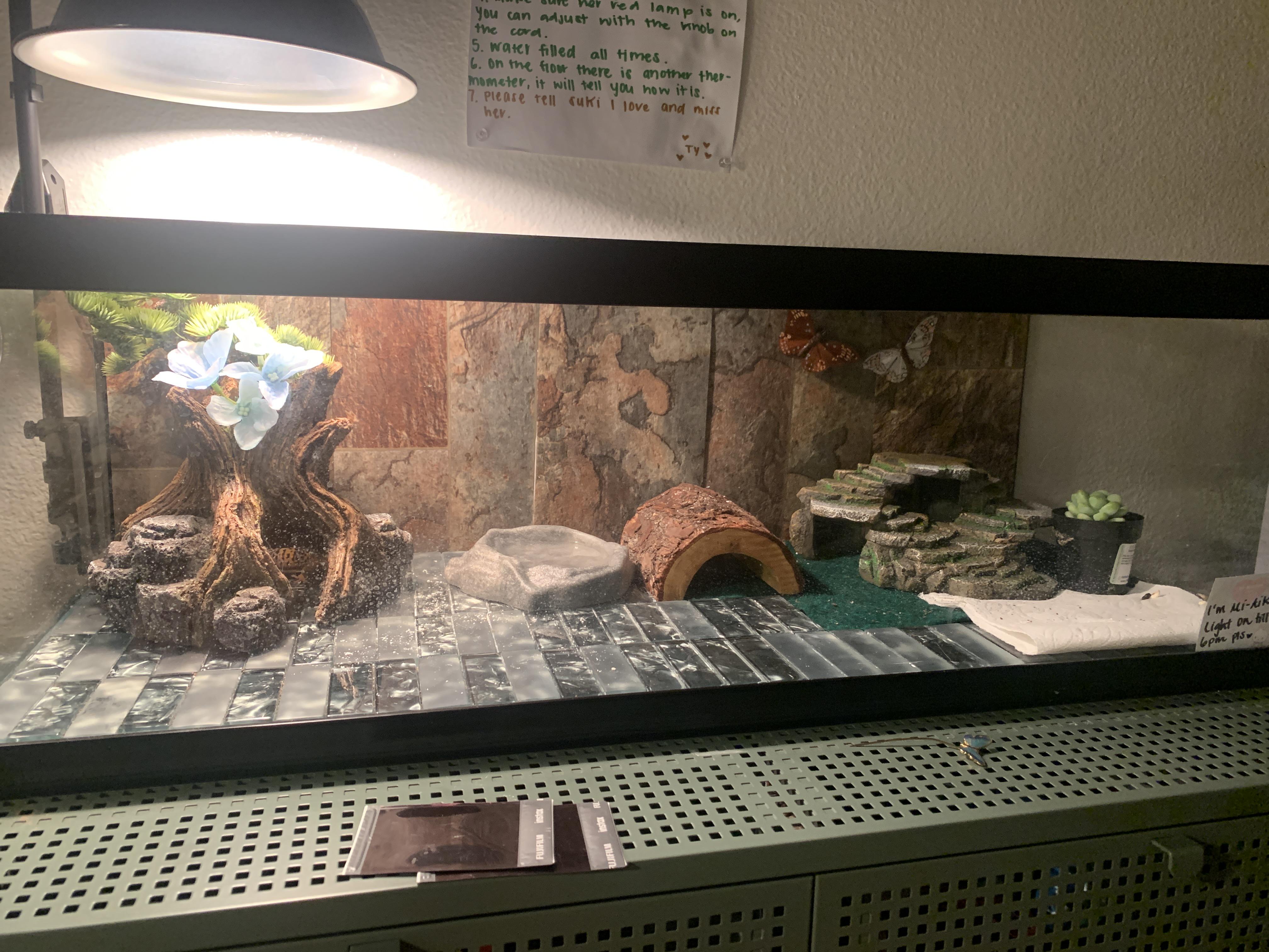 What do you think on my leopard geckos home? the majority of it is tile