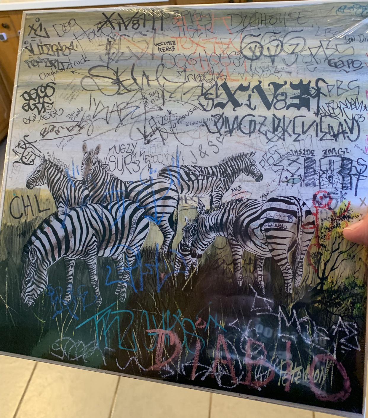 Freddie Gibbs & Madlib Bandana [Rappcats Edition] came today r