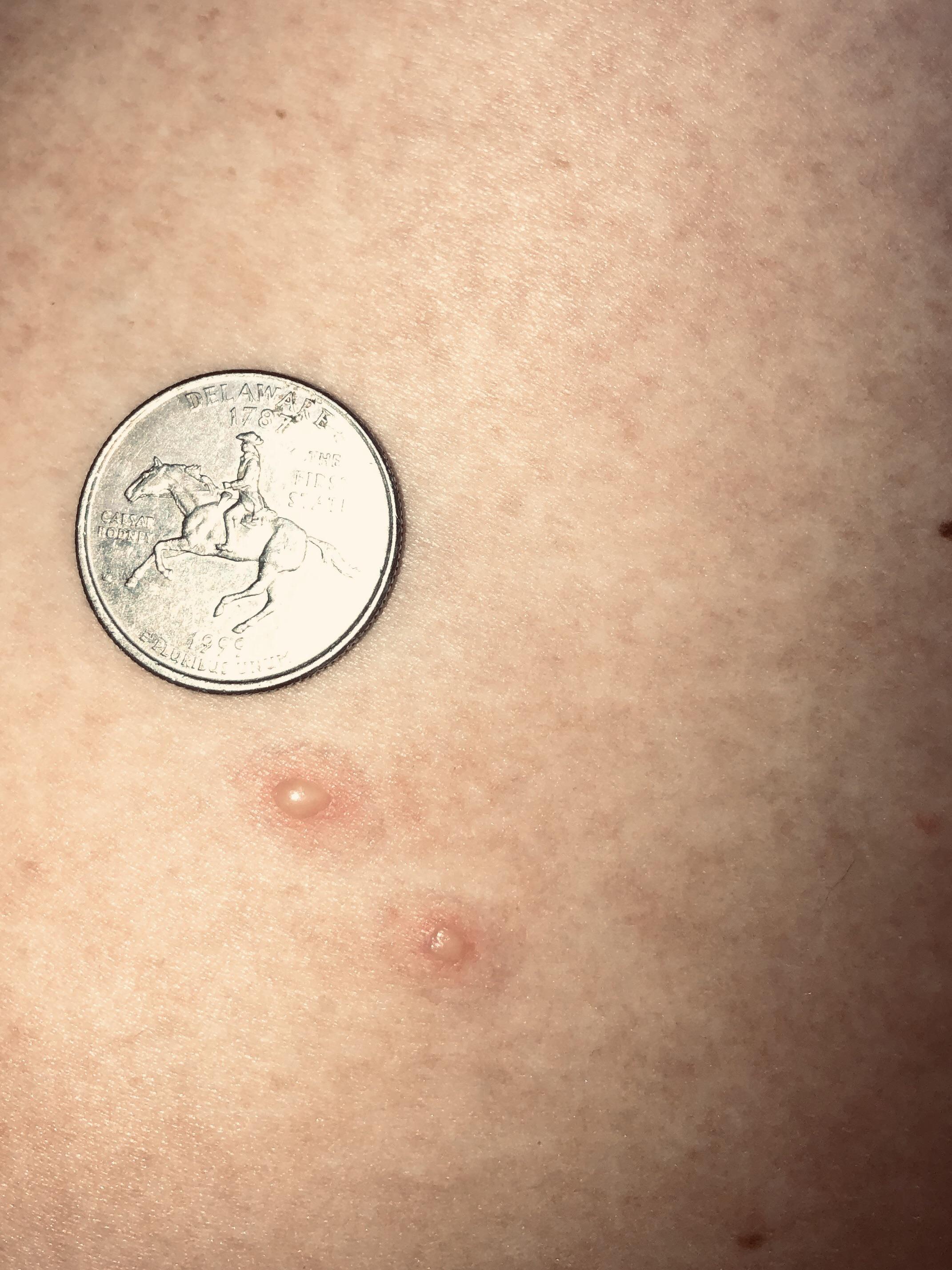 Looking for help from those more experienced I have these two