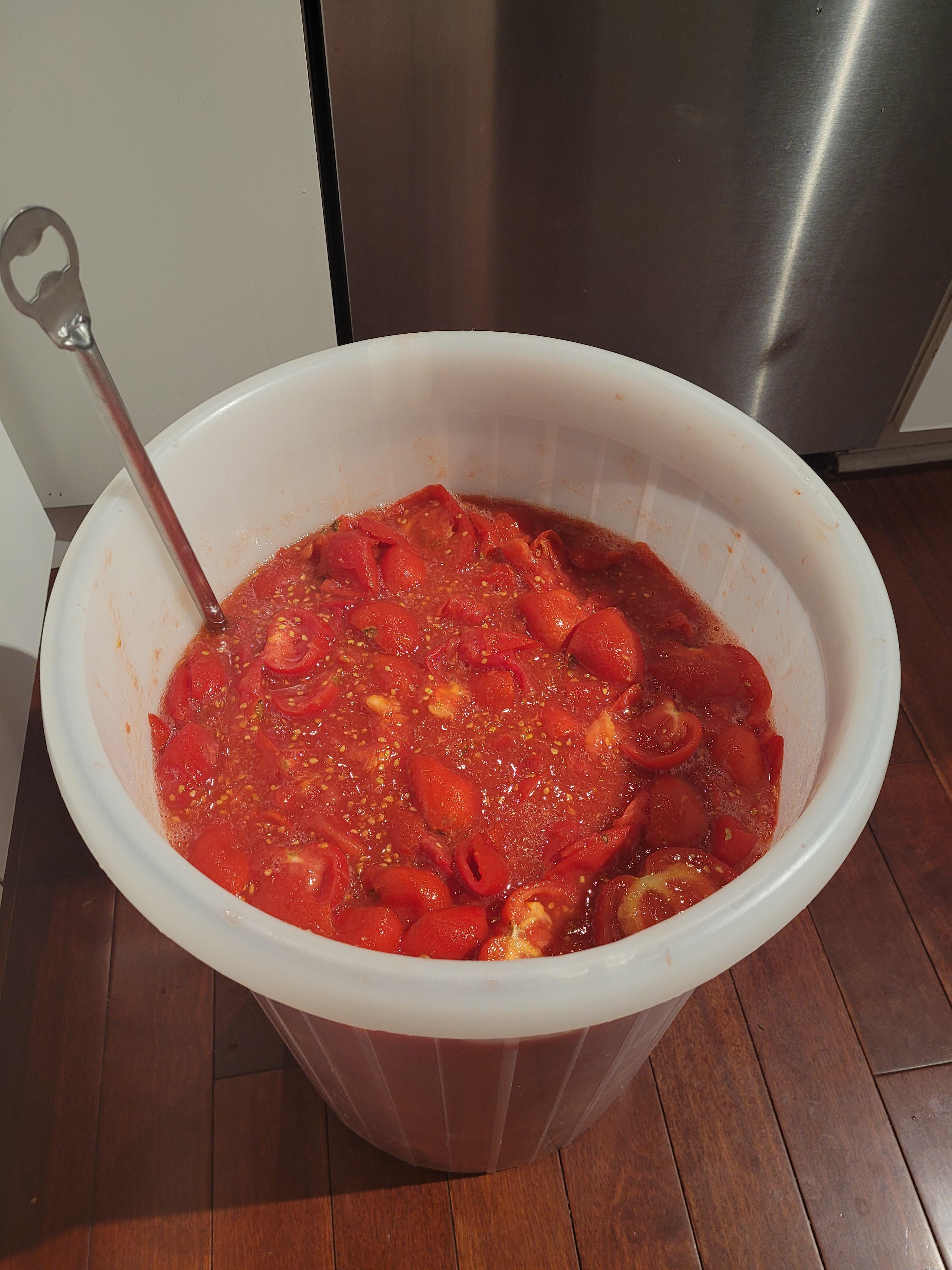 The waterless tomato mead journey begins r/mead