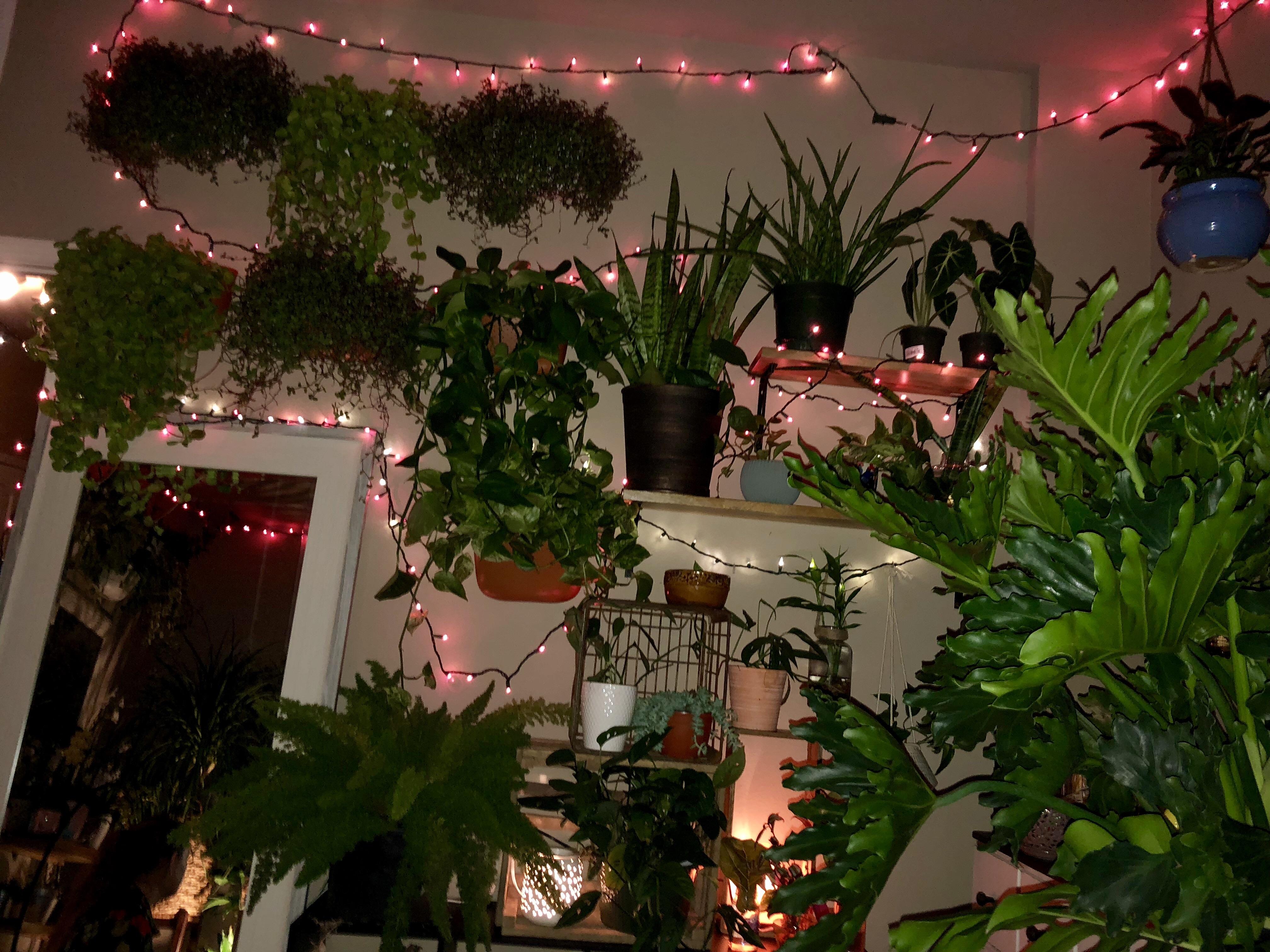 257 best Kennesaw images on Pholder Atlanta, KSU and