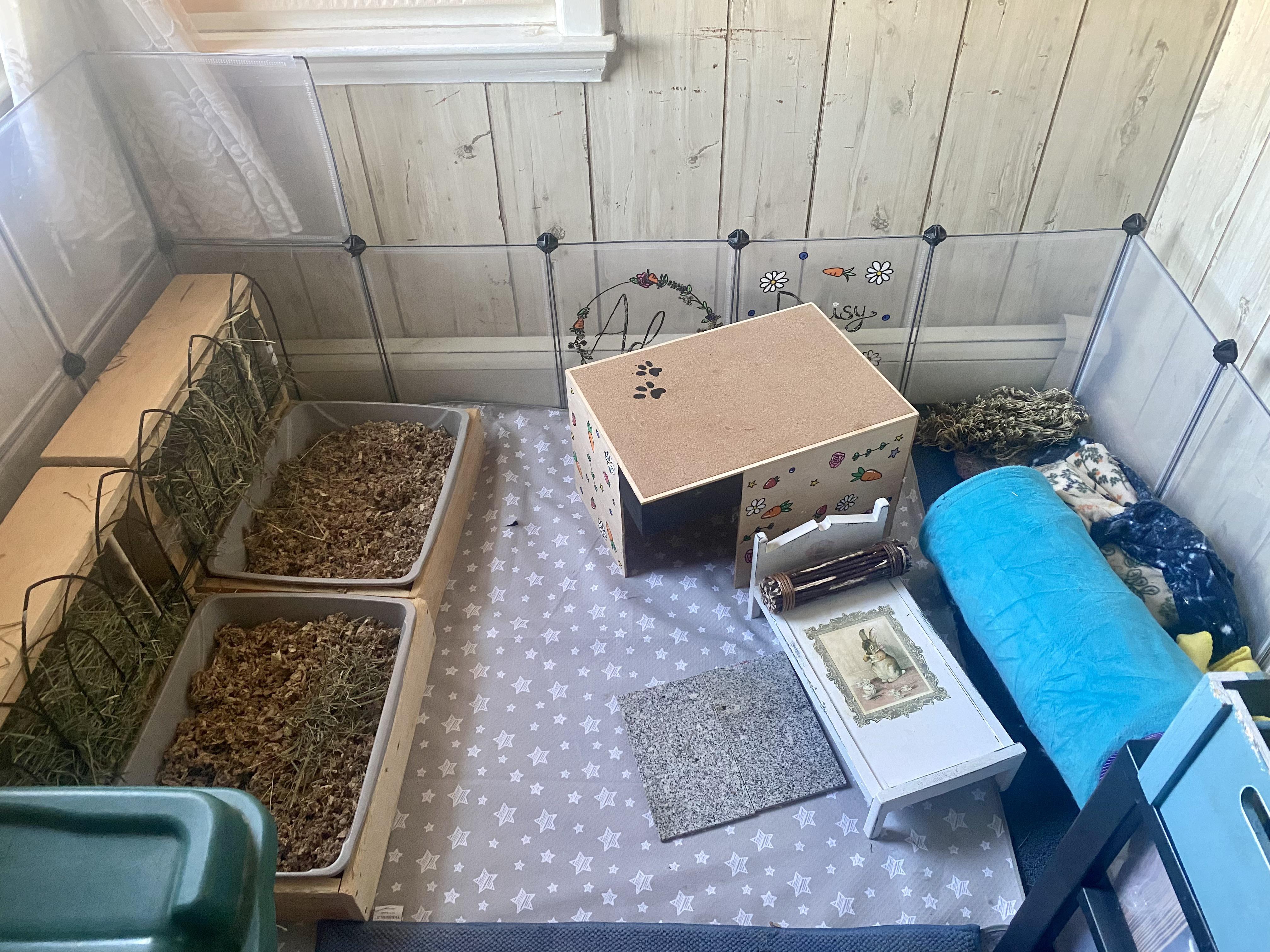 Something I wish I knew when I first got rabbits baby highchair mats as a rug. The carpet below
