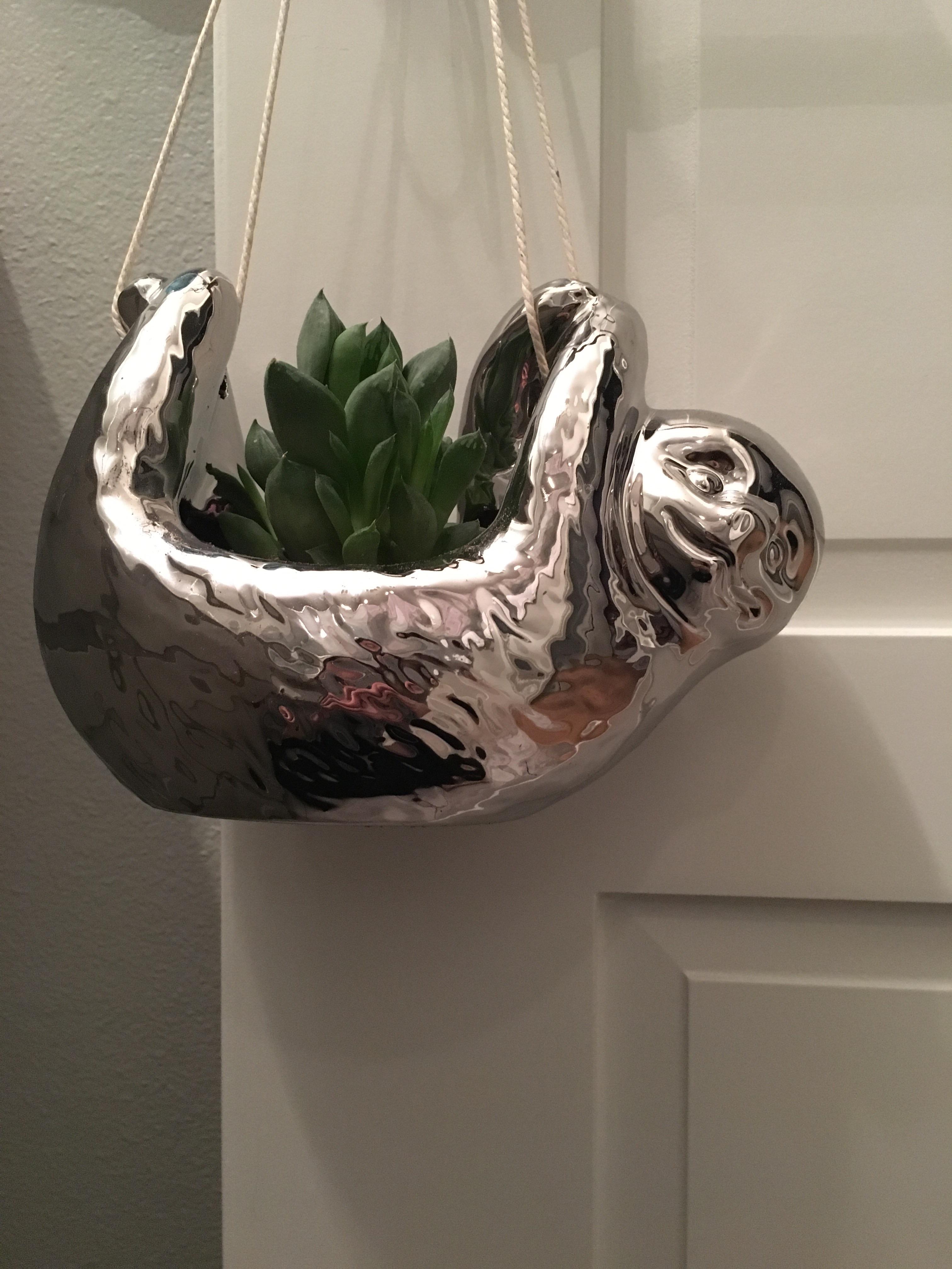 Found the cutest planter at Marshalls! I love it! r/succulents