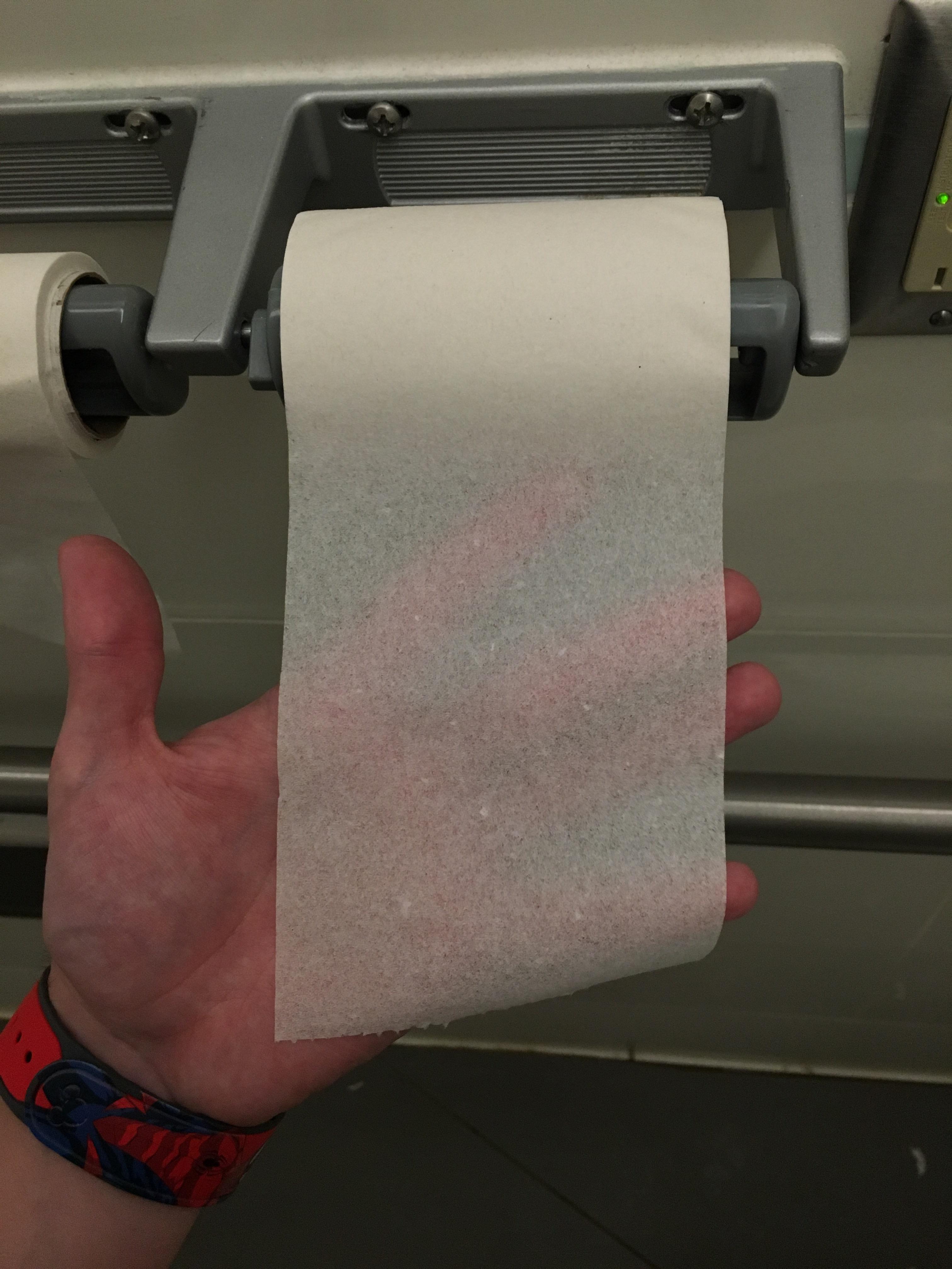 You’d think Disney World would have better toilet paper r