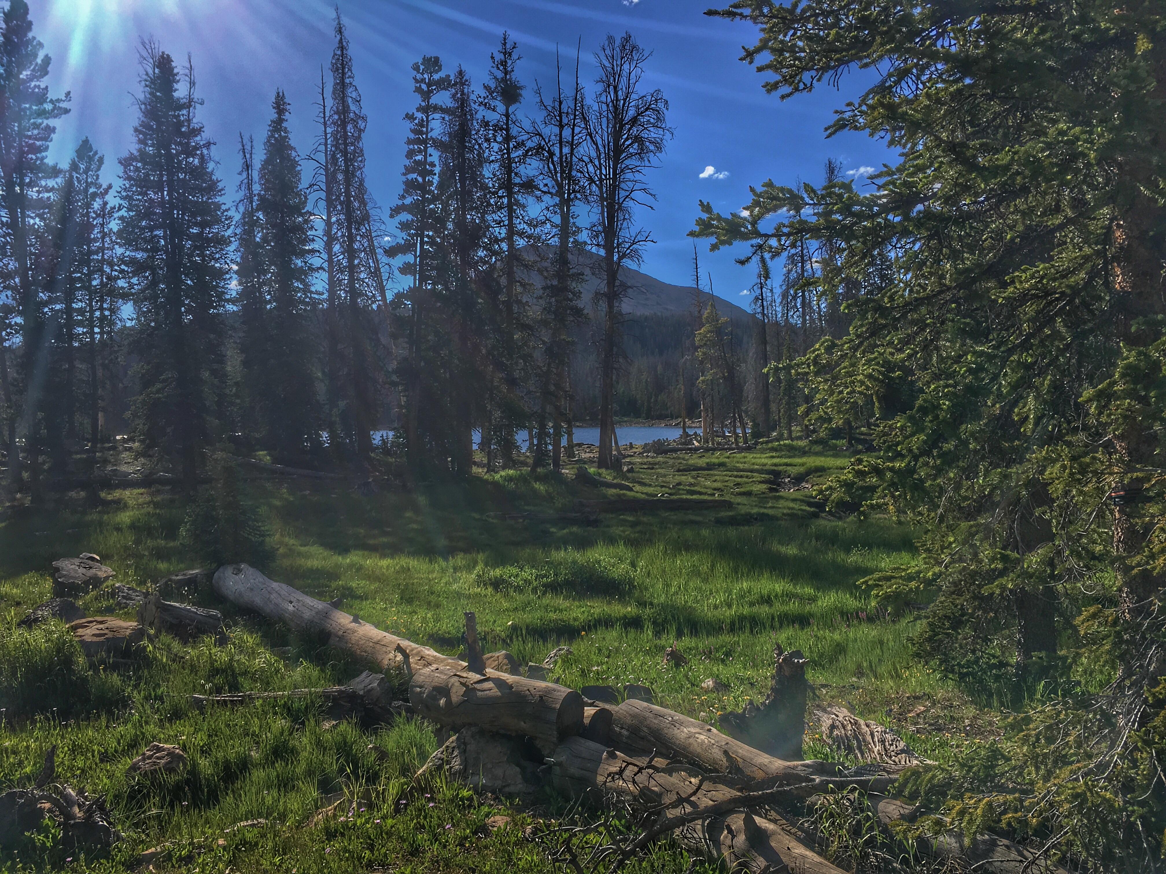 View from our campsite in the Uintas, UT r/camping