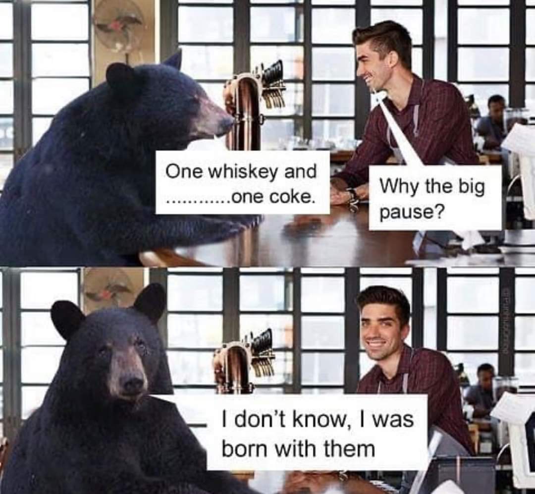 A bear walks into a bar... r/Funnypics