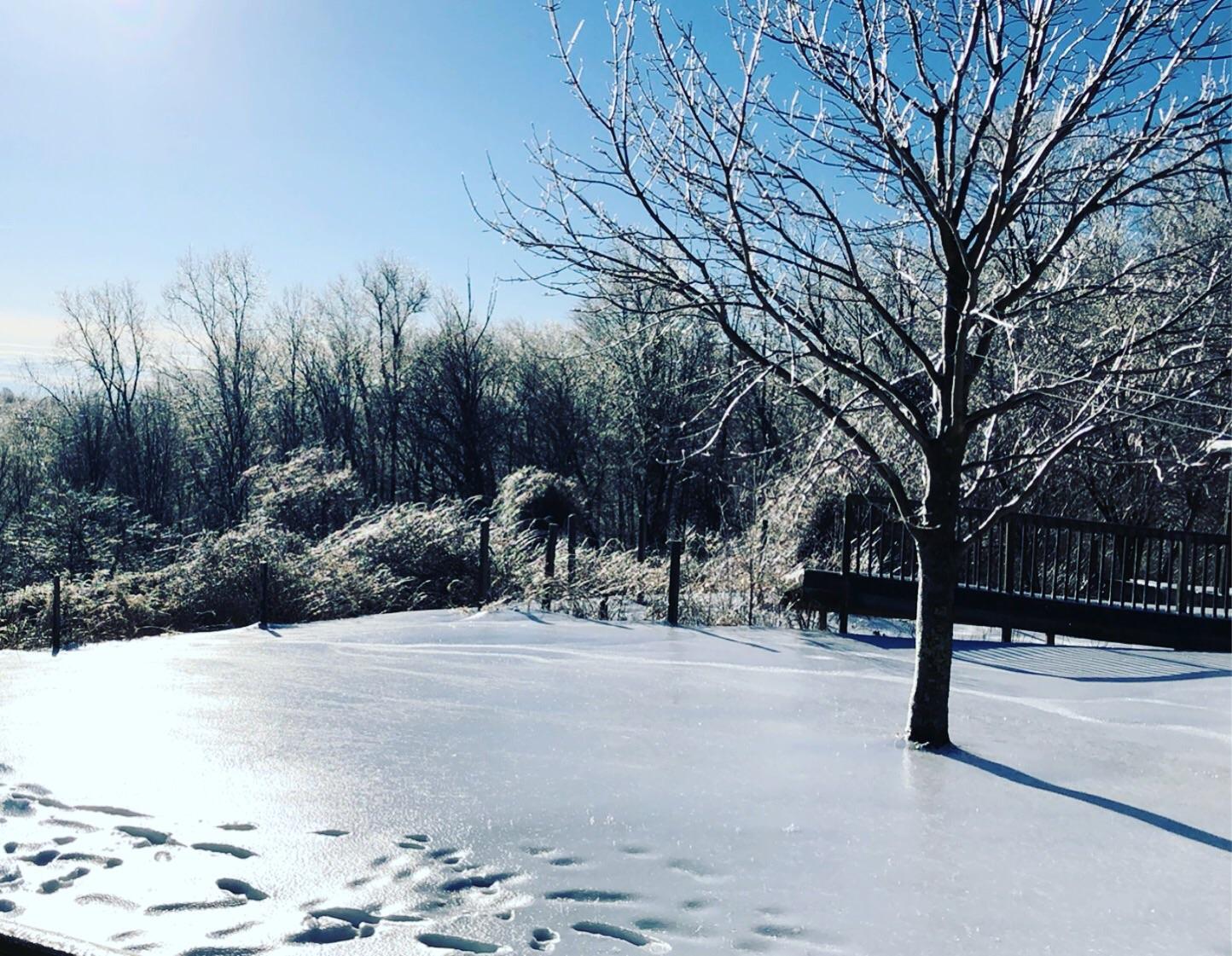 Day after the storm Bethlehem CT r/Connecticut