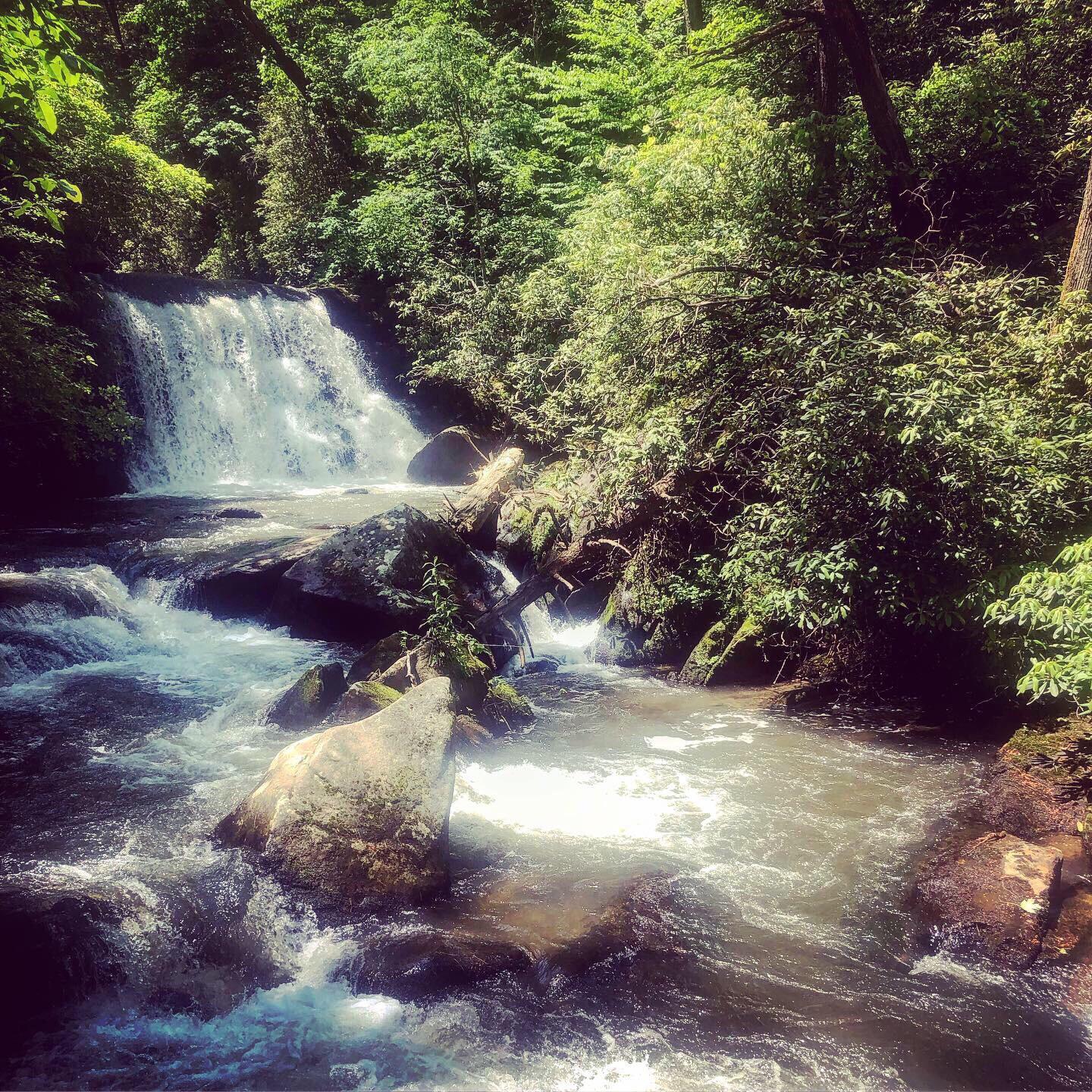 Yellow Creek Falls, NC. USA r/hiking