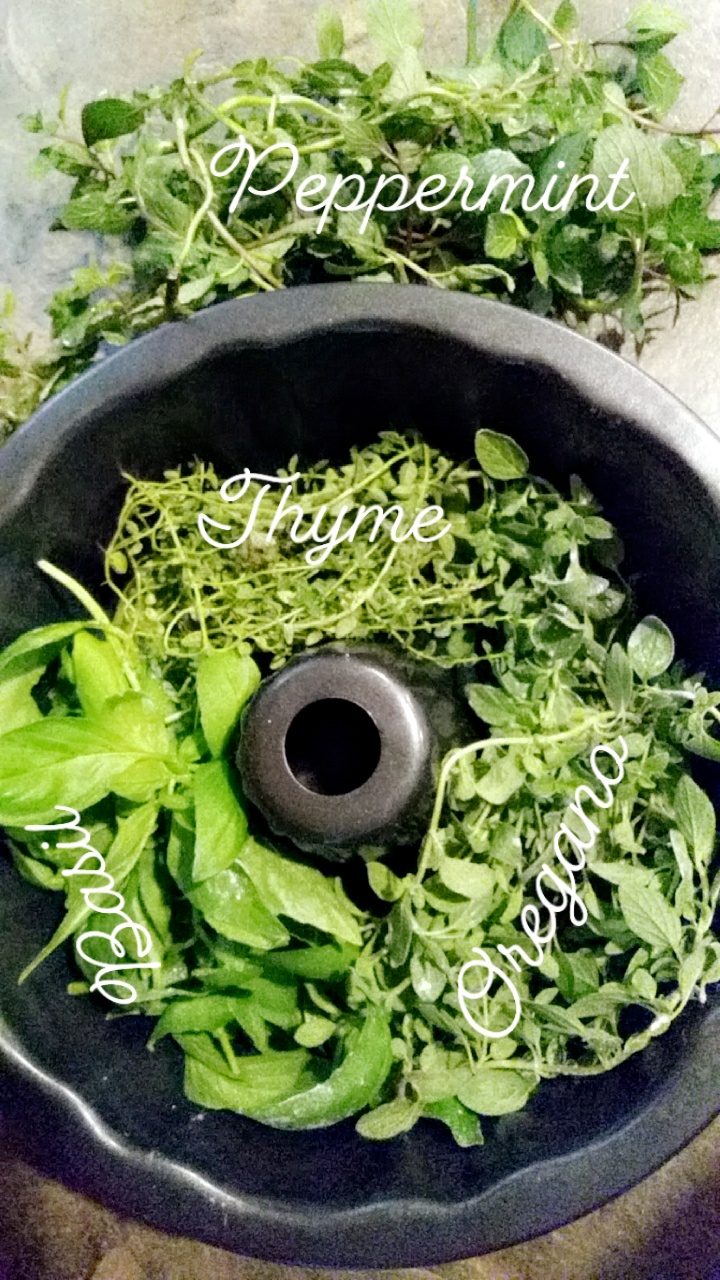 Just harvested some thyme, basil, oregano and peppermint from the