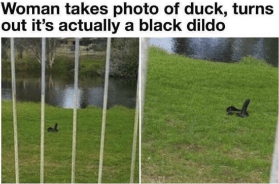 Should've gone to specsavers dankmemes