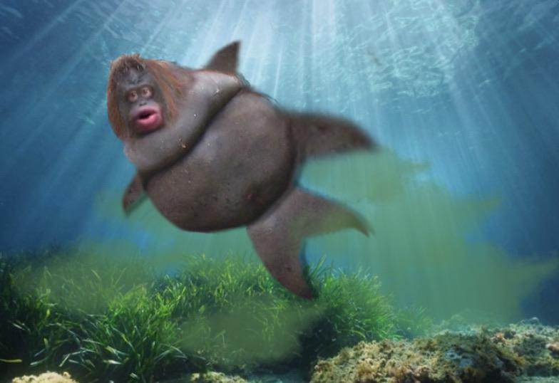 Poopy fish makes sea stinky r/uhohpoopie