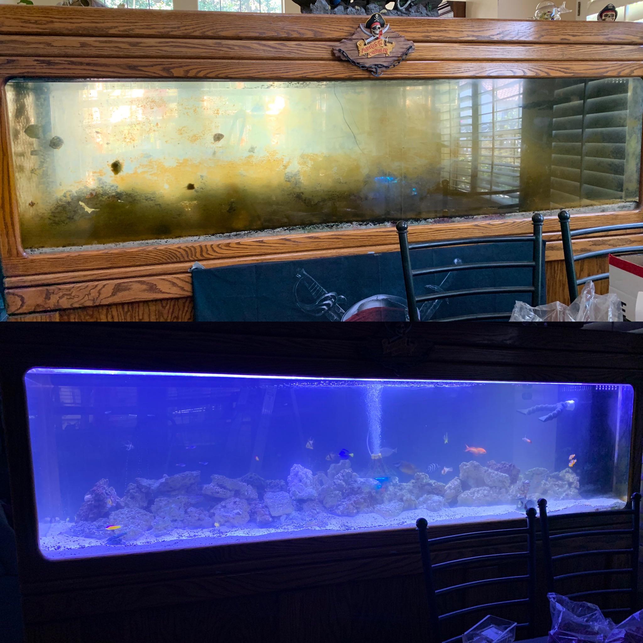 UPDATE My dad’s 220 gallon aquarium has been cleaned! r/shittyaquariums