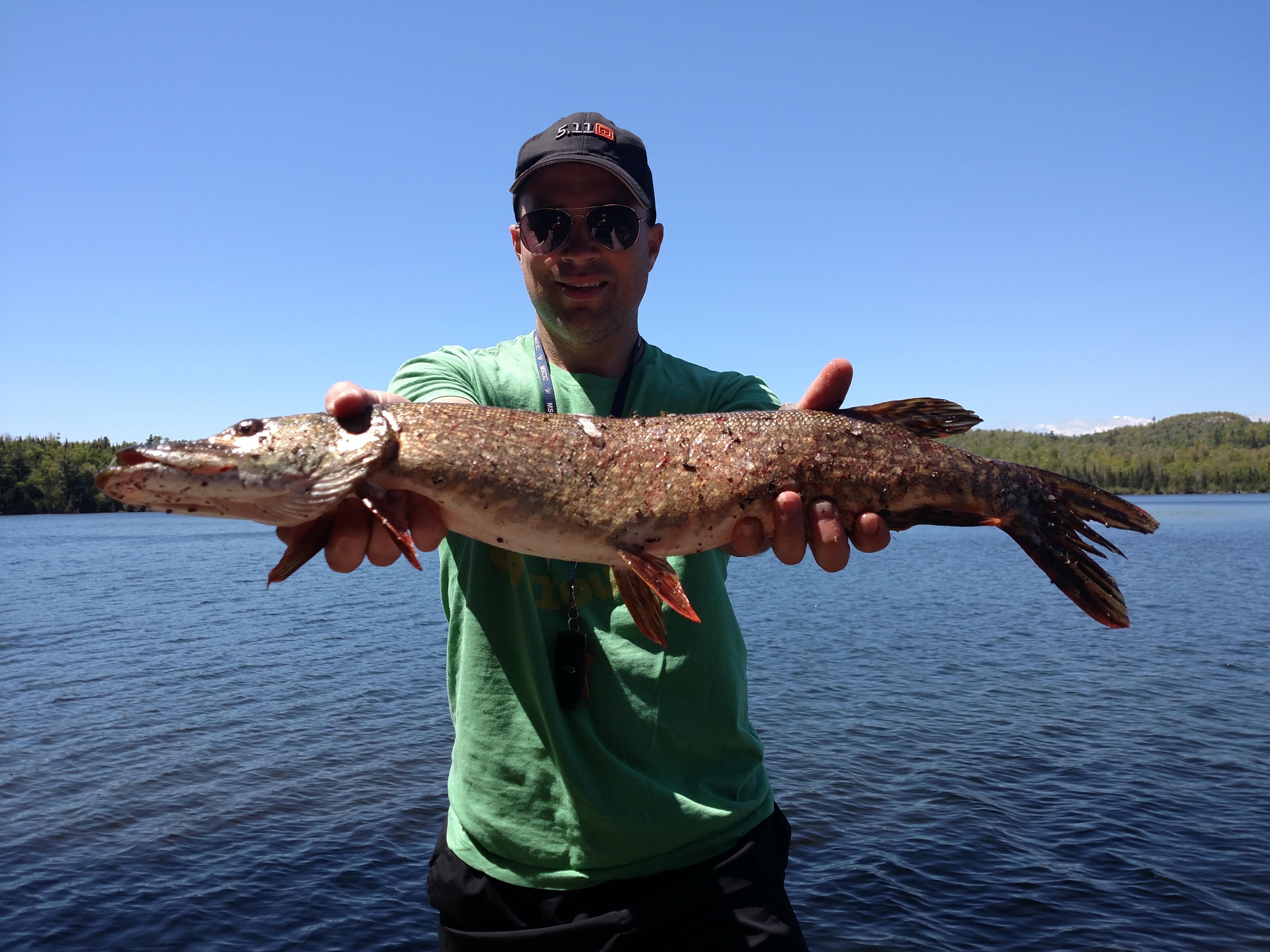 Northern Pike caught at Tettegouch State Park r/minnesota