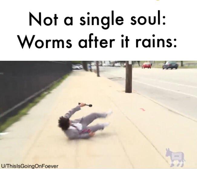 I hate the smell of burning worms in the afternoon. r/memes