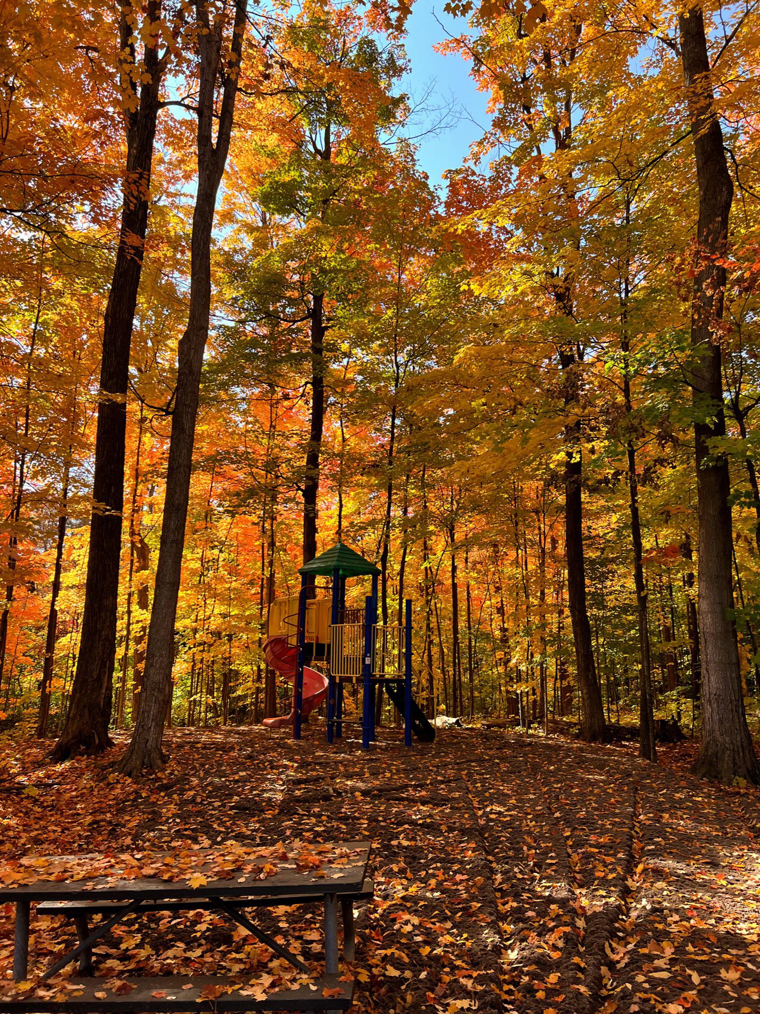 Penelope Drive, Kitchener r/kitchener