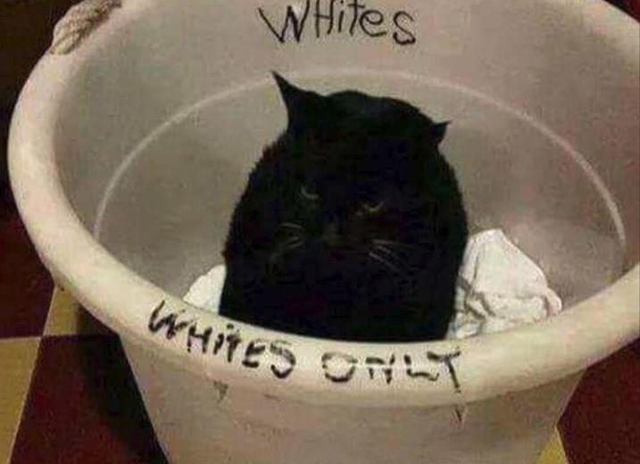 Black man protests segregation (1960) r/fakehistoryporn
