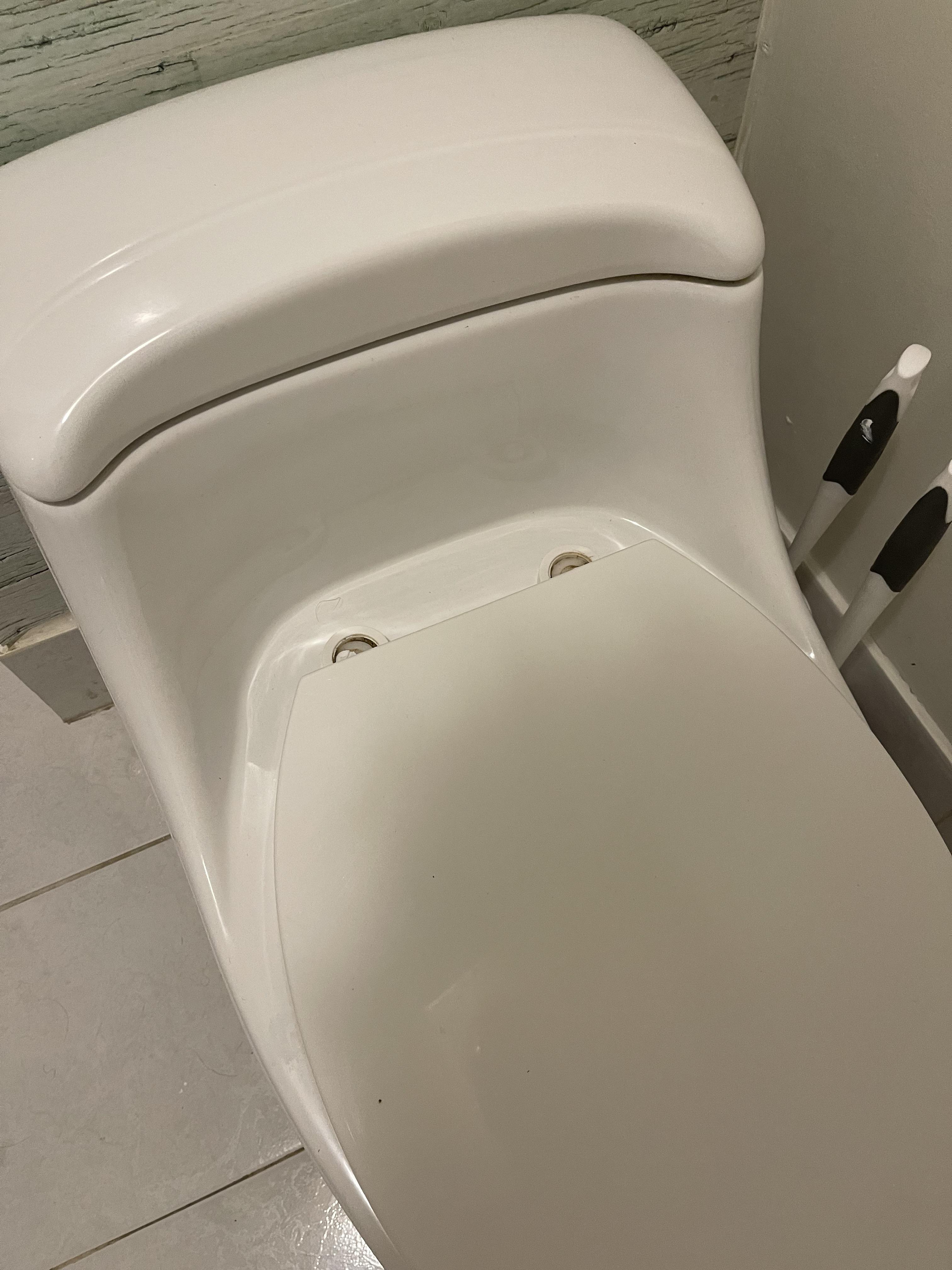 Just moved into a new place, with this toilet. It has access to screws