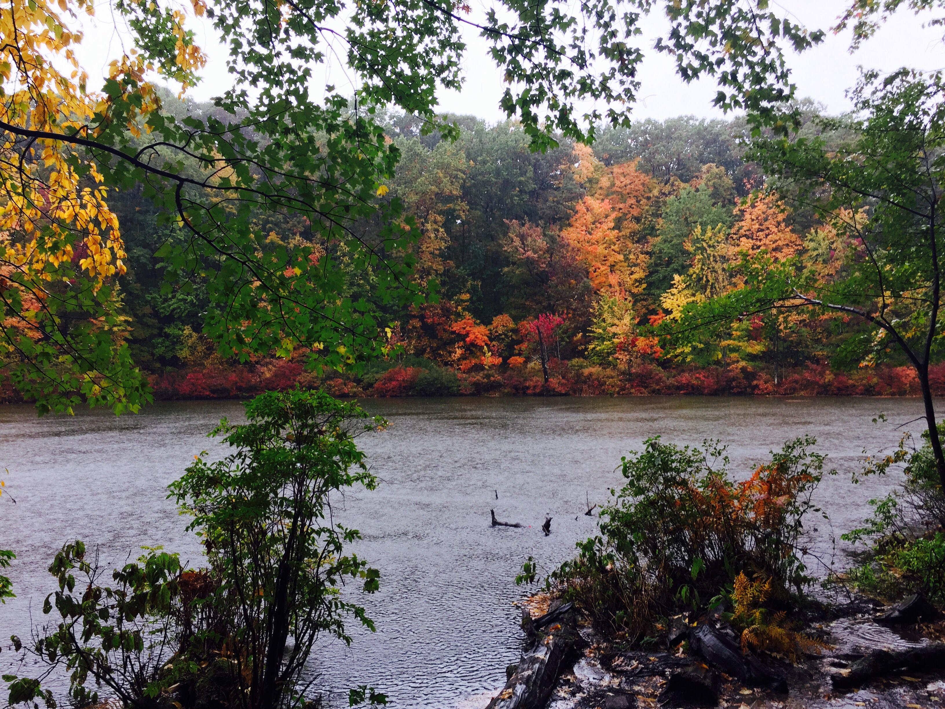 Devil's Bathtub. Mendon Ponds Park. Outside Rochester, NY. [OC] [3264 x