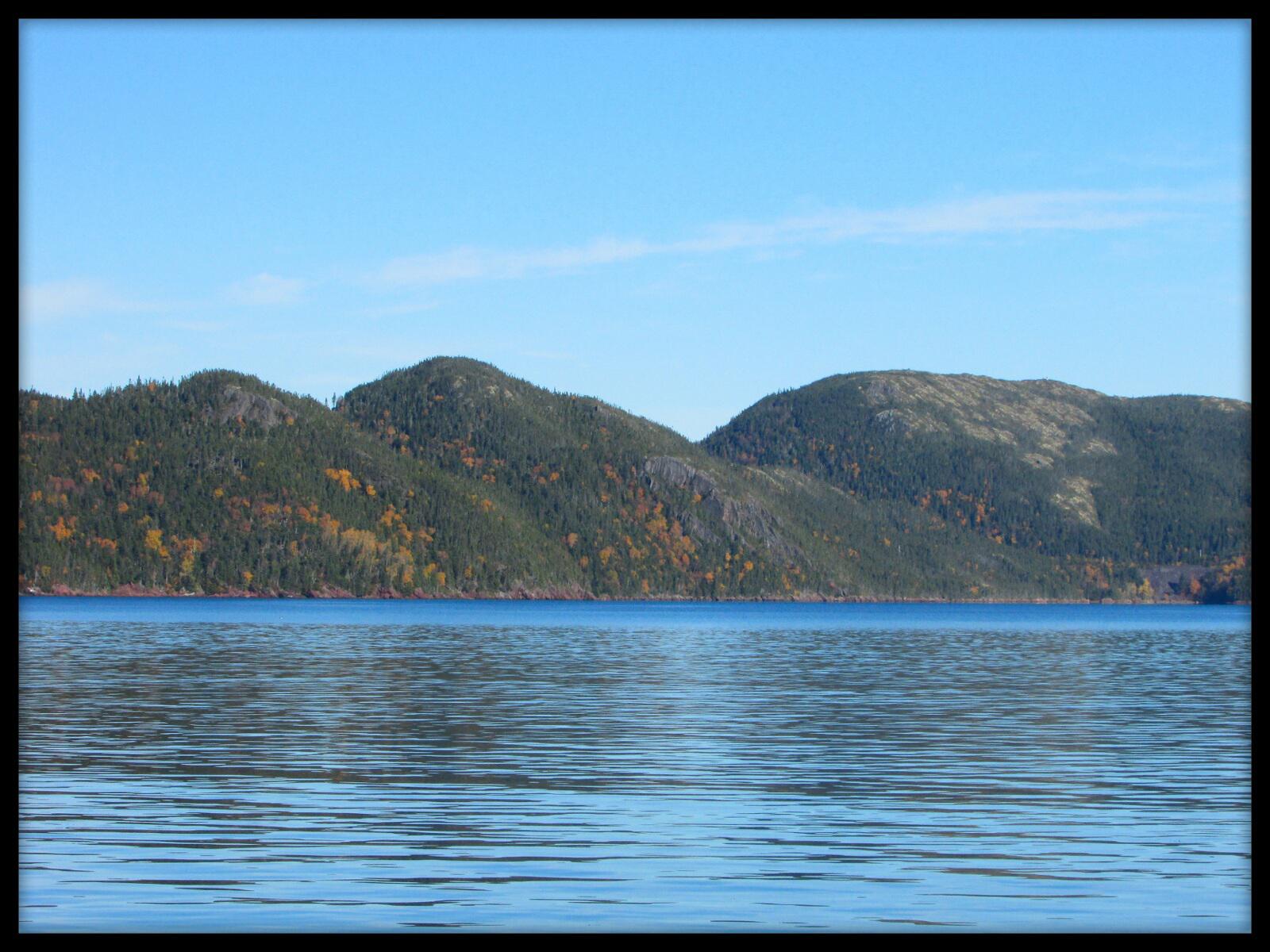 Burgoyne's Cove r/newfoundland