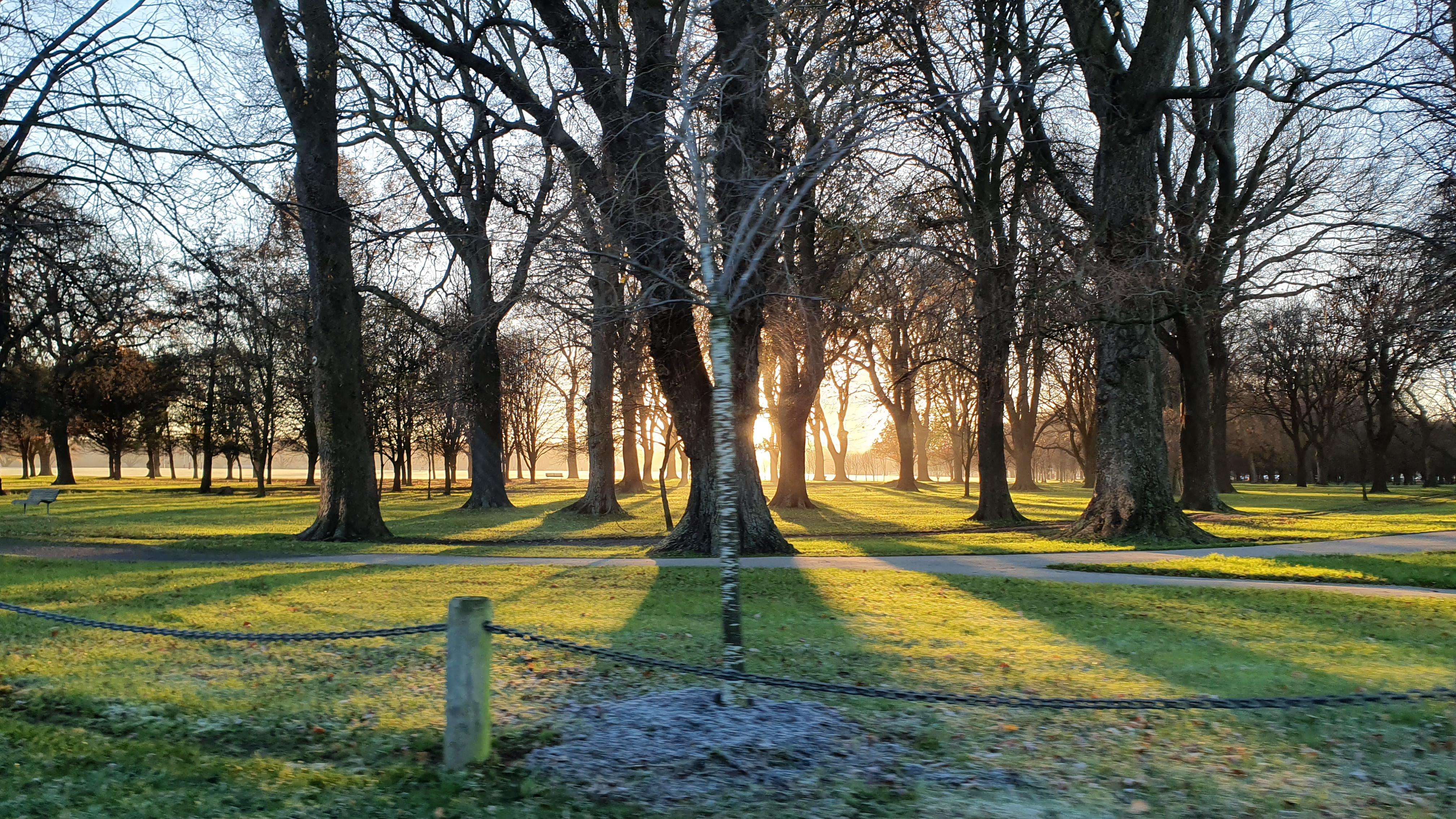 Hagley Park, Christchurch, this morning r/newzealand